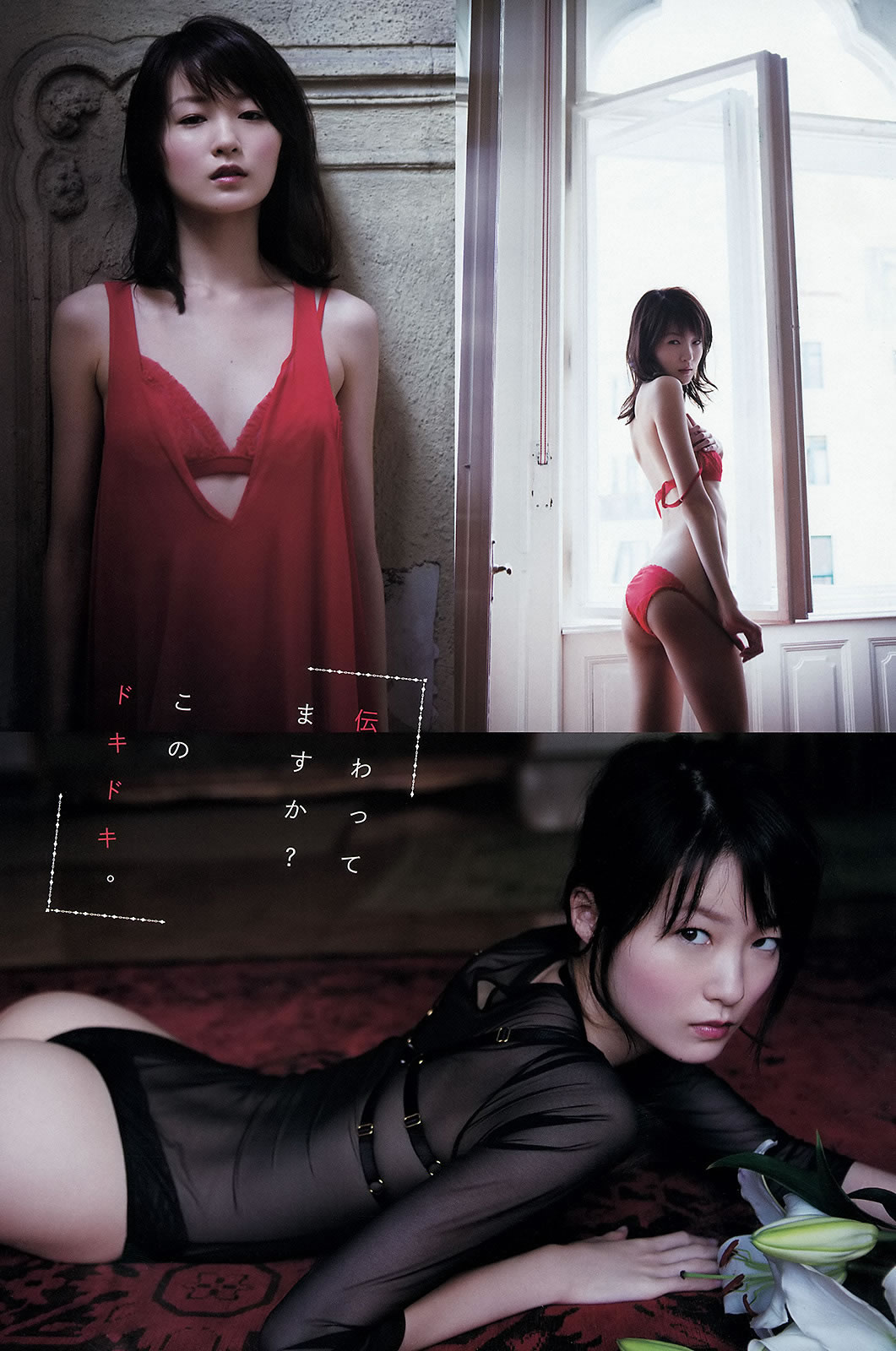 [Young Animal Arashi]高清写真图2014 No.04 虎南有香 しほの凉 あやみ旬果 逢坂はるな