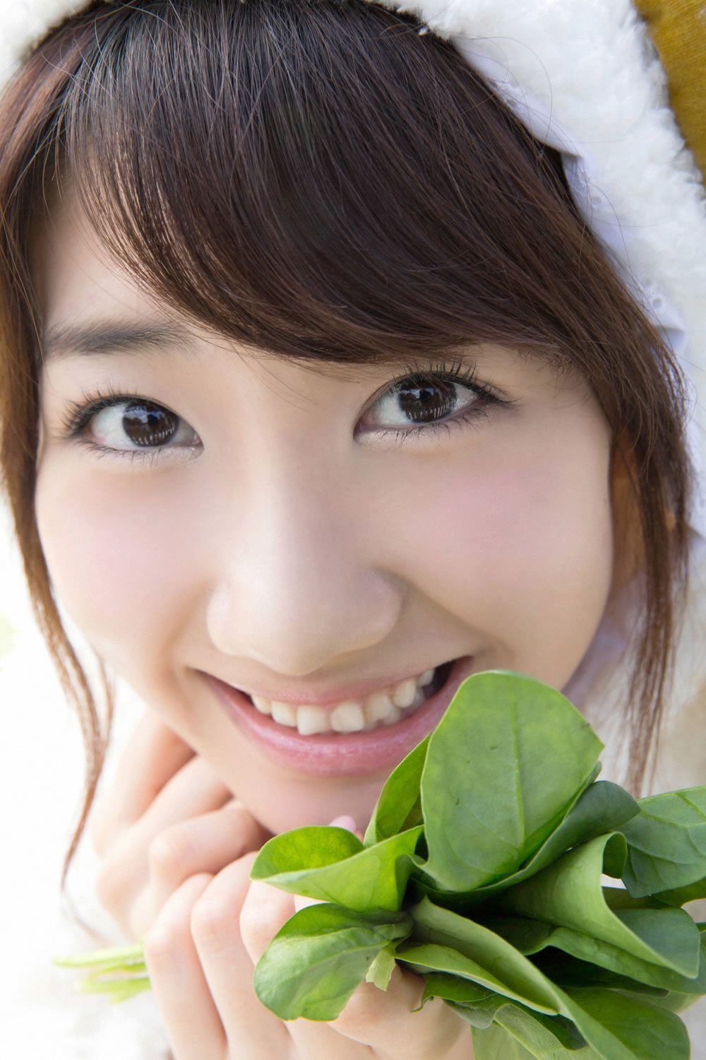 柏木由纪、入山杏奈 [YS-Web套图写真图集]高清写真图Vol.633