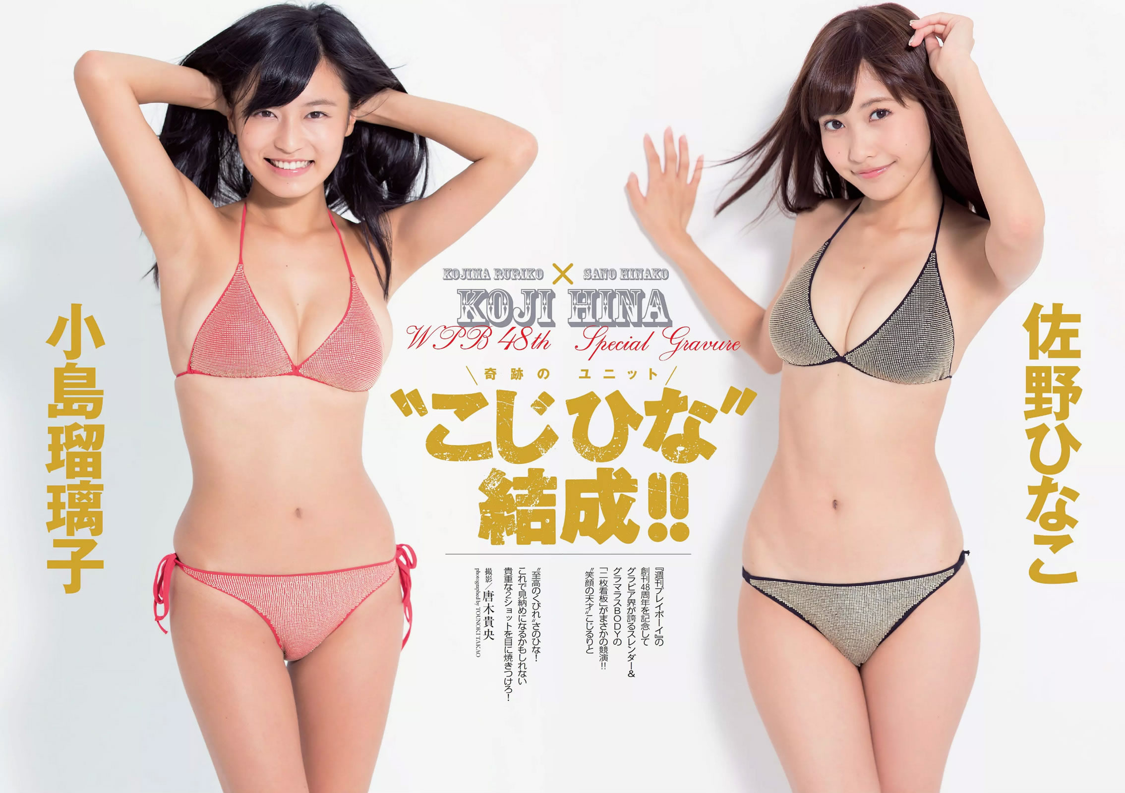 [Weekly Playboy]高清写真图2014 No.44 小嶋瑠璃子 佐野ひなこ 栗山千明 奥仲麻琴 新井恵理那 佐々木心音 叶加瀬マイ 苍井そら 冬月かえで