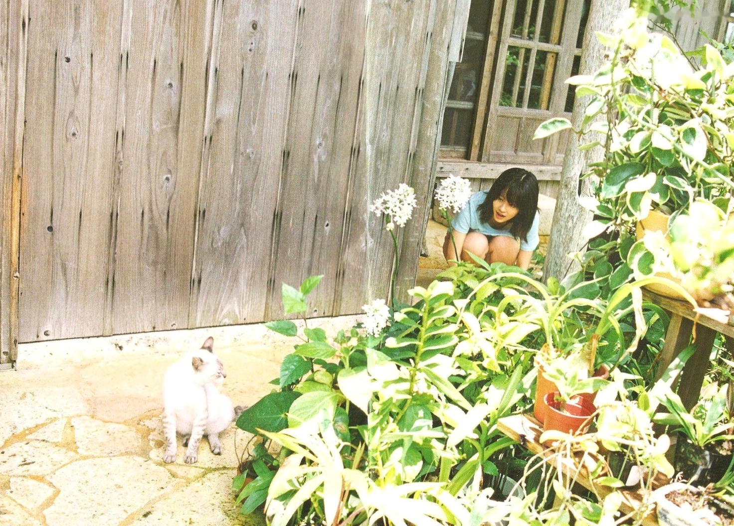 Gallery - 前田敦子 PB写真集《Memorial》清纯少女居家私房照记录日本气质清新治愈系私房照 前田敦子女神私房照_秀色女神 - image 40