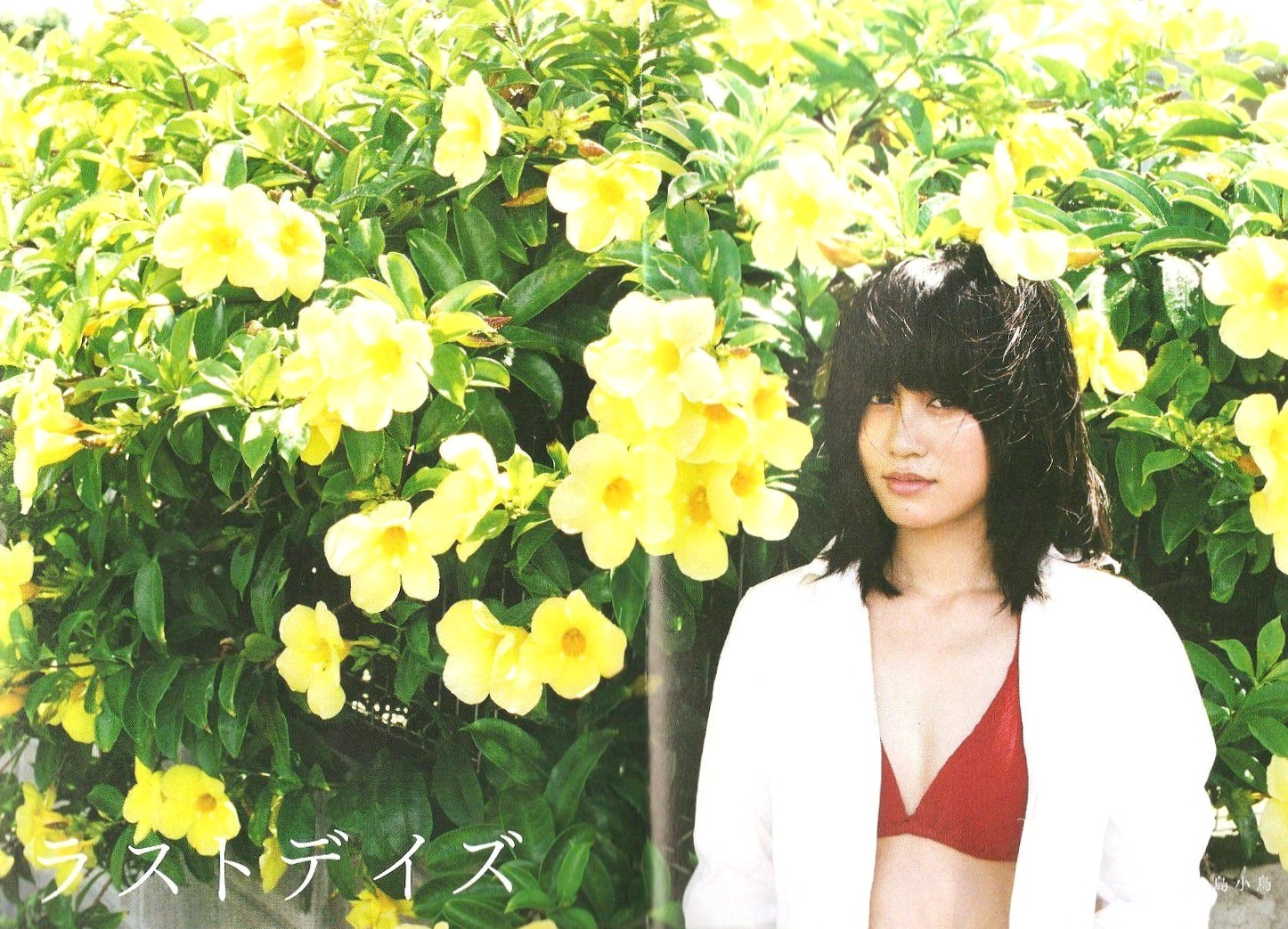 Gallery - 前田敦子 PB写真集《Memorial》清纯少女居家私房照记录日本气质清新治愈系私房照 前田敦子女神私房照_秀色女神 - image 72