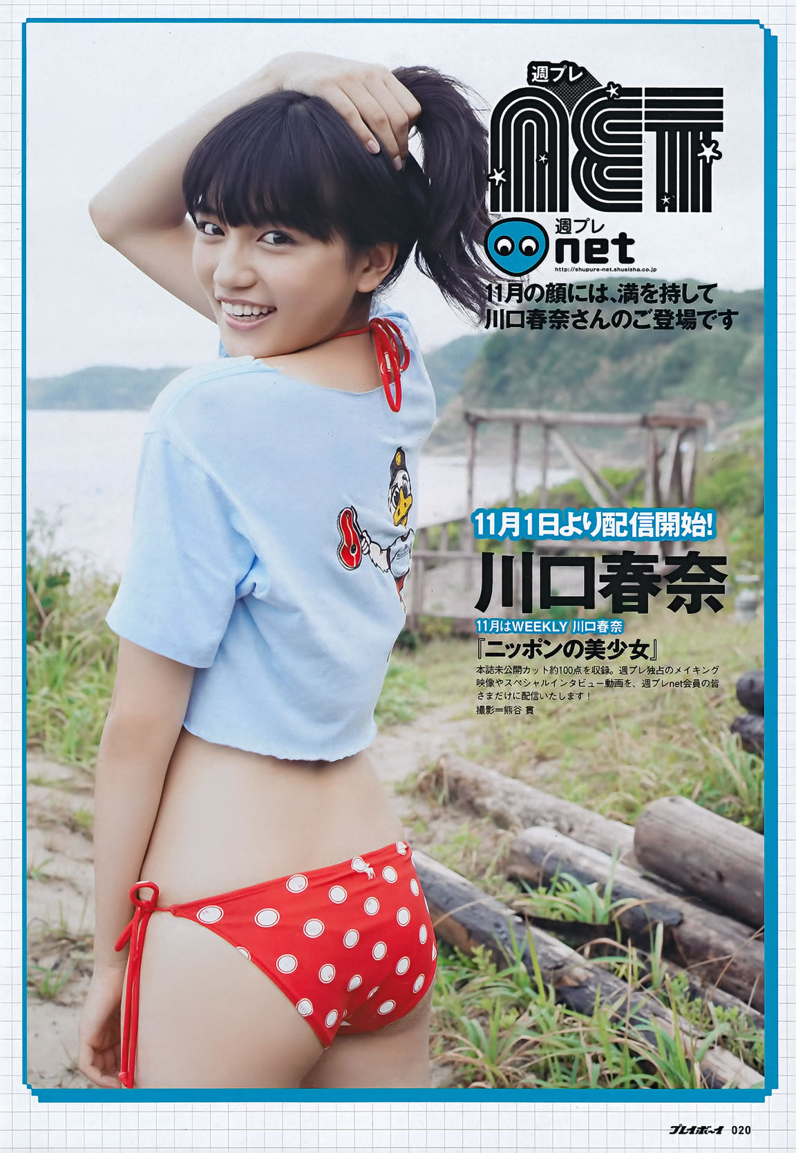 [Weekly Playboy]高清写真图2011 No.46 佐佐木希 杉本有美