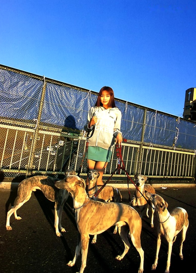 Gallery - 佐藤江梨子《おひっこし》写真集：唯美光影下的艺术写真，极致展现内敛女神气质日本女神气质私房照 佐藤江梨子女神私房照_秀色女神 - image 15
