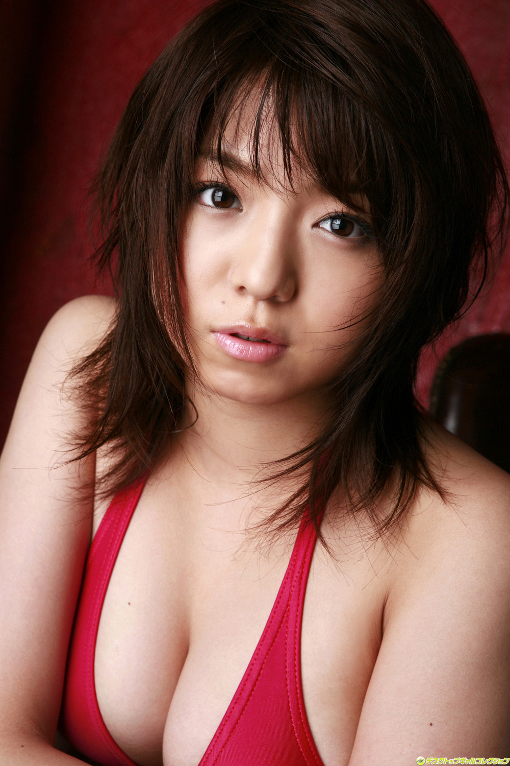 中村静香-[DGC]高清写真图No.529