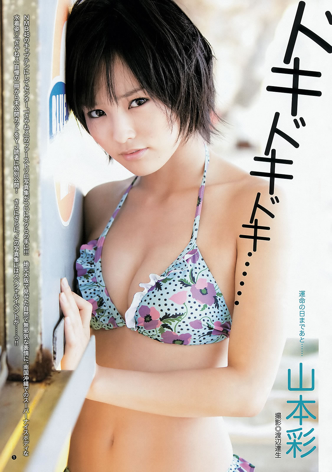 [Weekly Young Jump]高清写真图2012 No.51-53 渡辺麻友 山本彩 冈本玲 今野杏南 筱田麻里子 市川由衣