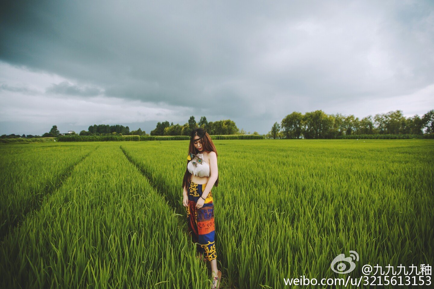 九釉 微博私房美图写真图
