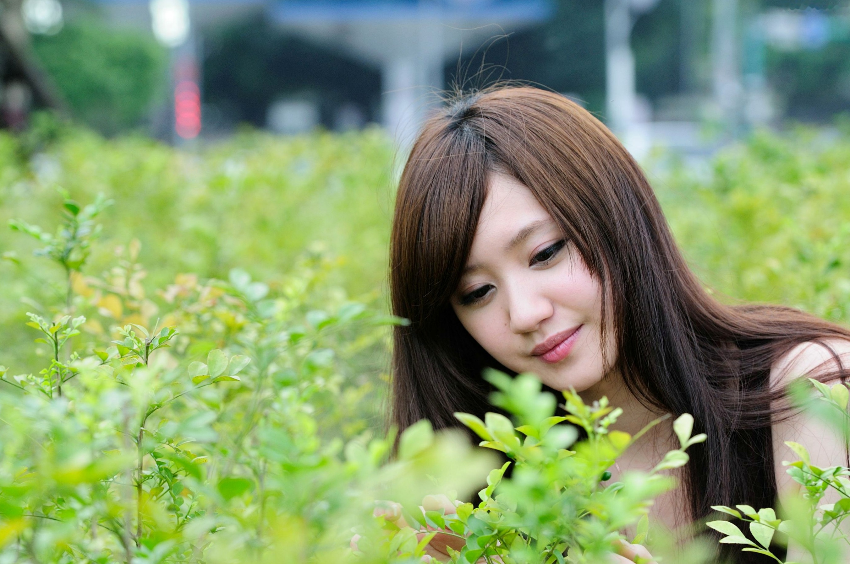 Gallery - 台湾美少女小雅户外随拍：条纹装搭配黑丝尽显清新气质与修长美腿，治愈系街拍写真集台湾街拍清新美腿丝袜 顾莉雅女神私房照_秀色女神 - image 29