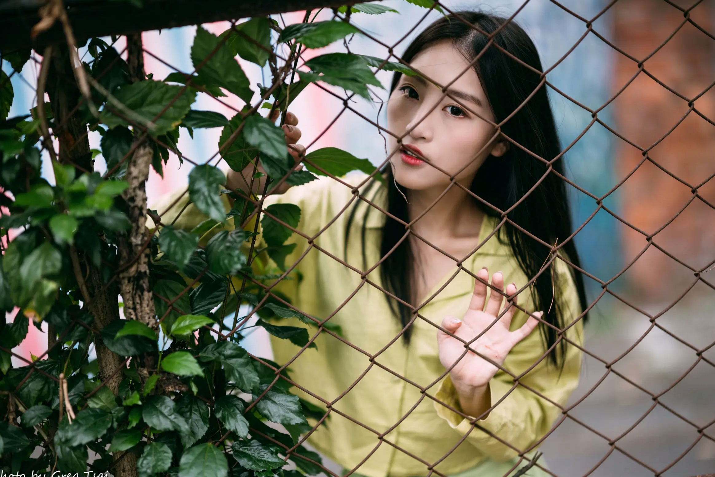 Gallery - Candy - 北教大清新校园写实，文艺少女青春灵动，色彩明快唯美写真 [82P]清新清纯户外气质 龚玥菲女神私房照_秀色女神 - image 27