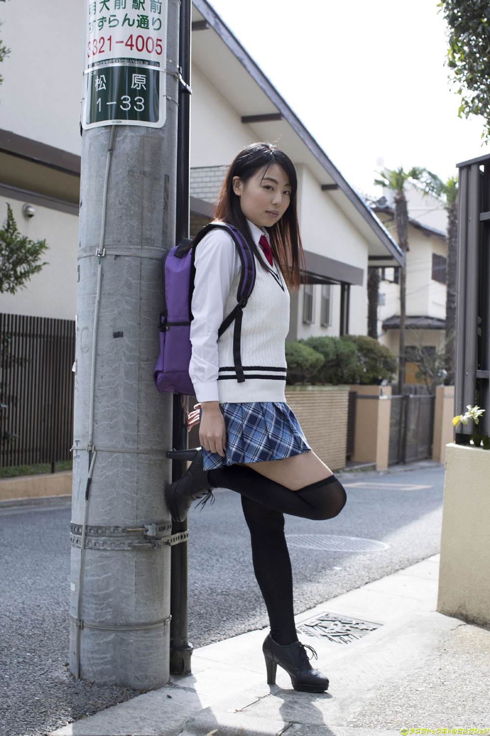 仲倉静香 [DGC]高清写真图2014年07月号 No.1178