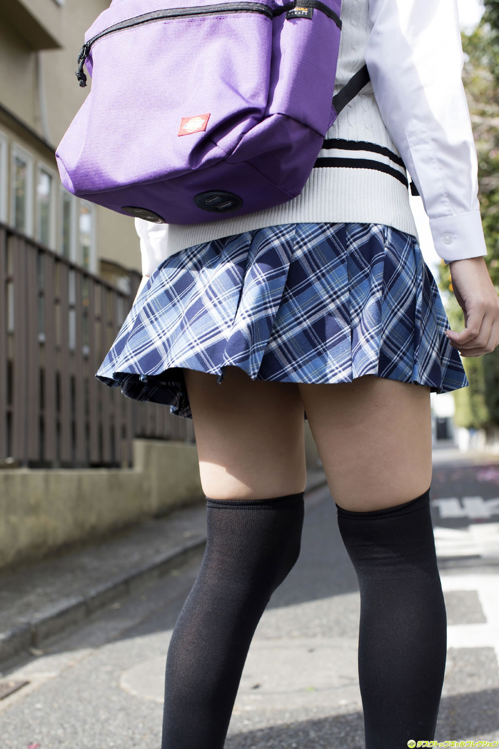 仲倉静香 [DGC]高清写真图2014年07月号 No.1178