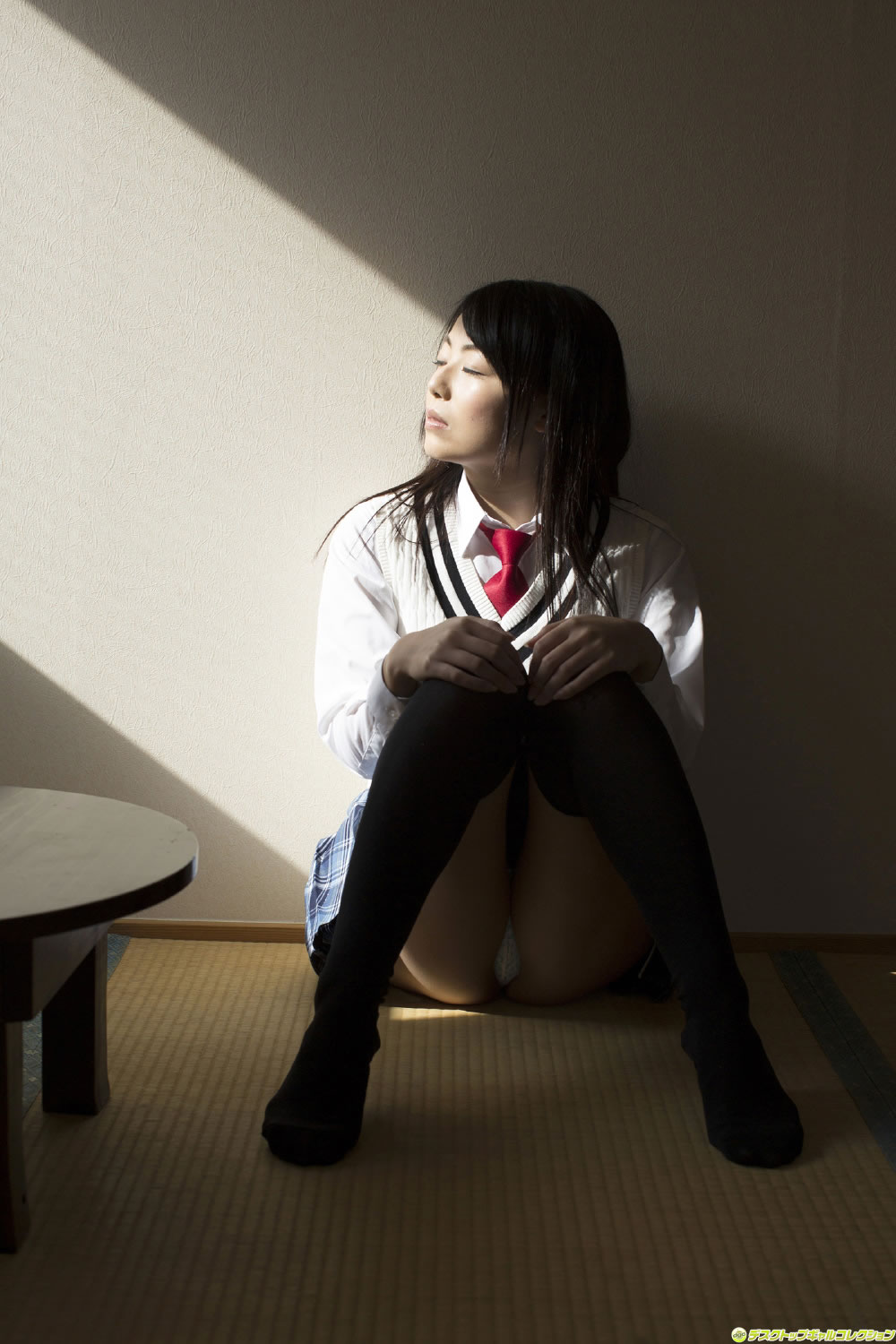 仲倉静香 [DGC]高清写真图2014年07月号 No.1178