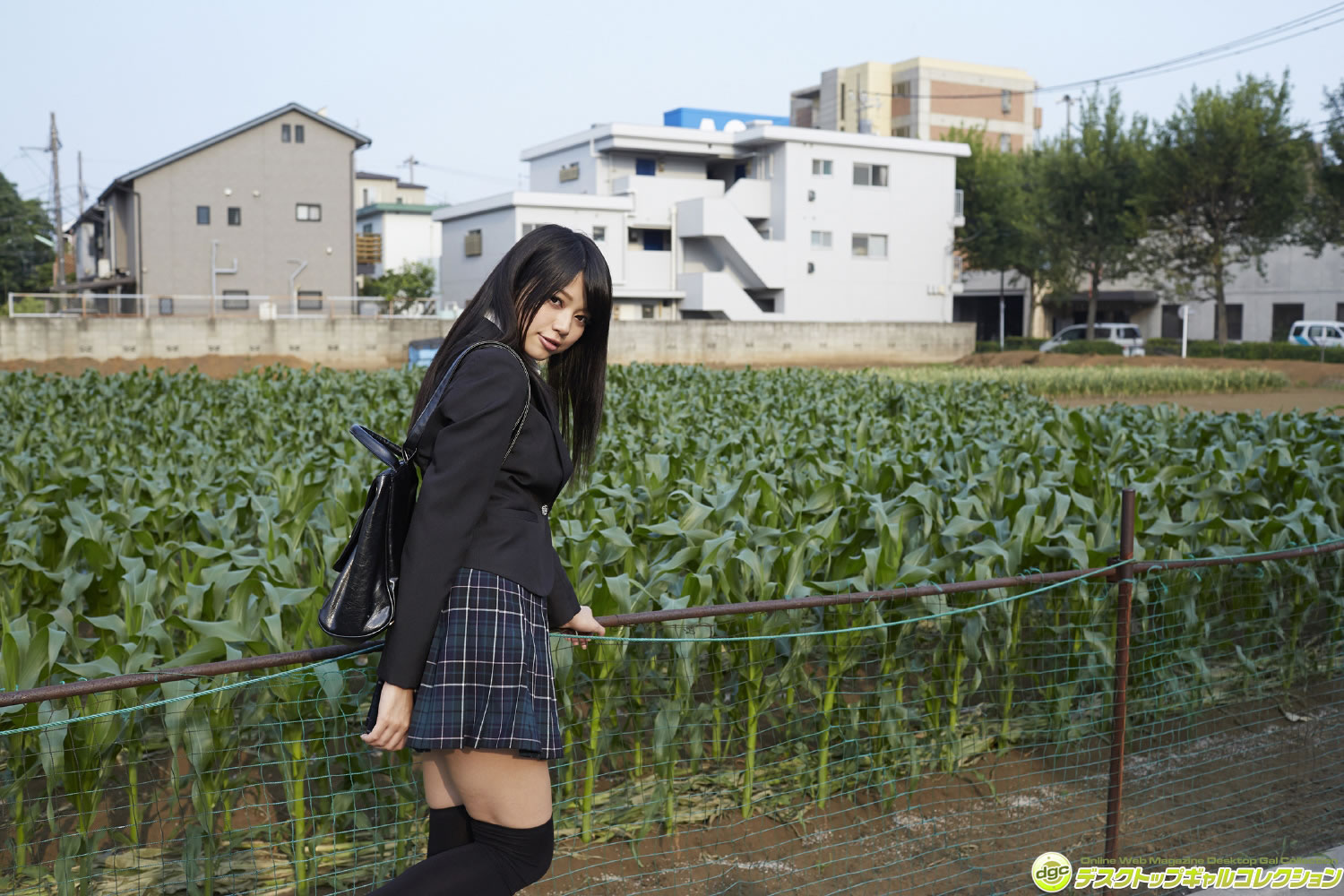小間千代 [DGC套图写真图集]高清写真图2014年10月号 No.1197