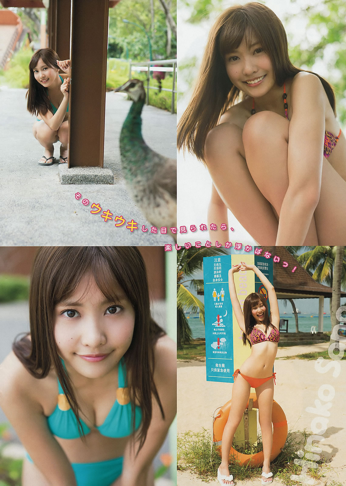 [Young Magazine]高清写真图2015 No.13 14 柏木由纪 清水みさと マギー 佐野ひなこ