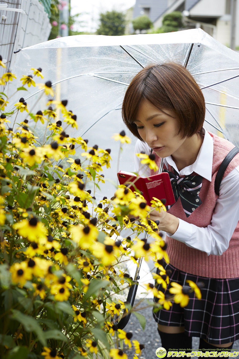 糸山千恵(糸山千恵)-[DGC]高清写真图套图写真图集No.1212