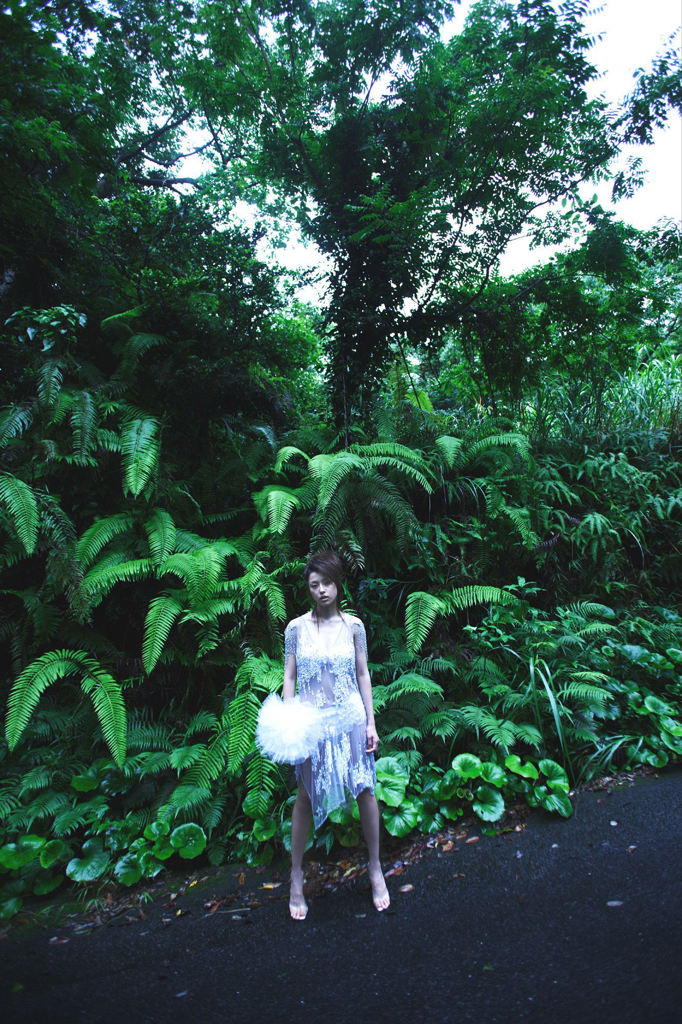 木下亚由美(木下あゆ美) [NS Eyes]高清写真图套图写真图集SF-No.361