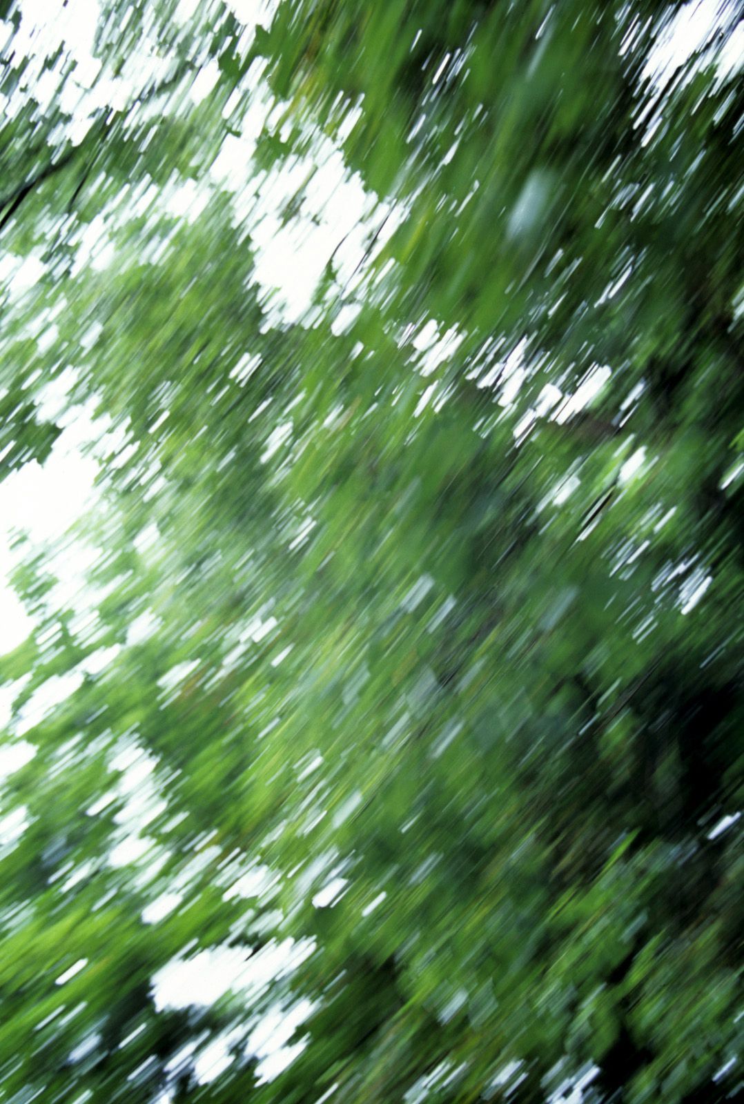 木下亚由美(木下あゆ美) [NS Eyes]高清写真图套图写真图集SF-No.361