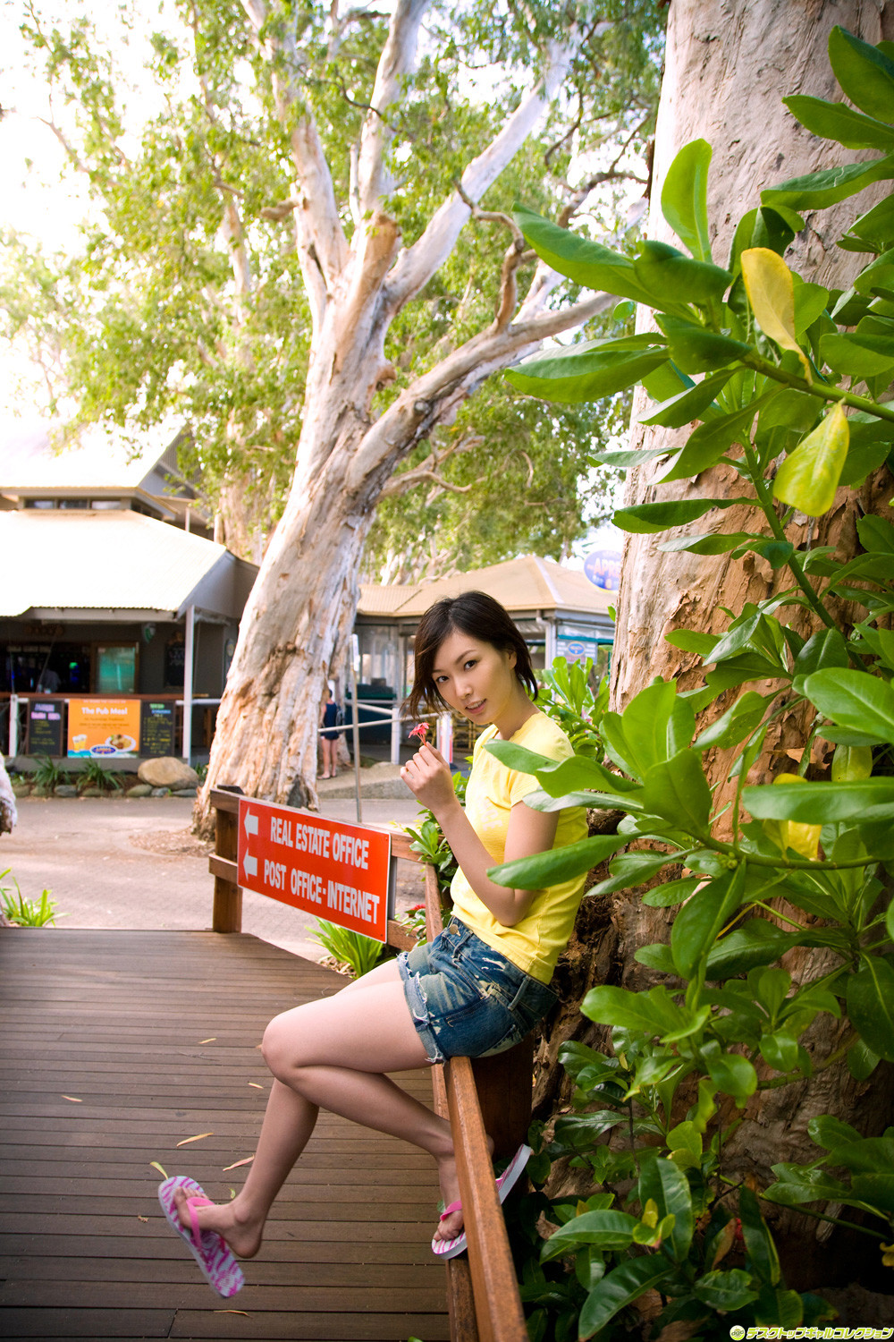 长泽奈央(長澤奈央)-[DGC]高清写真图套图写真图集No.600