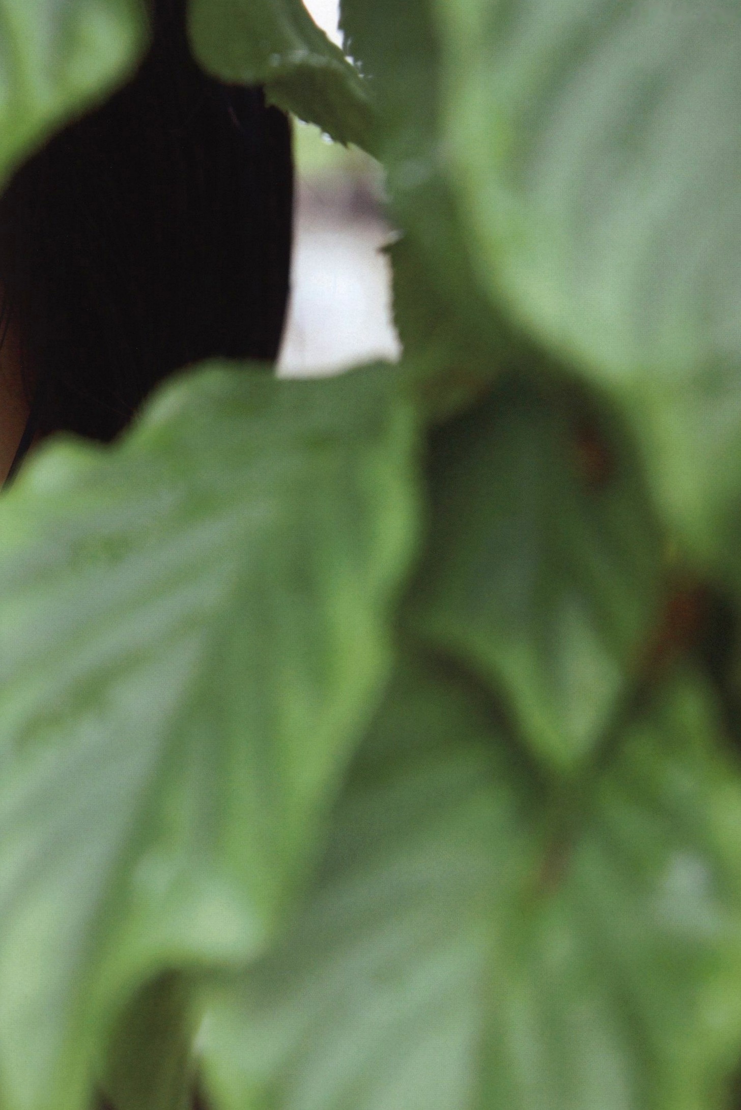 Gallery - PB写真集_工藤遥《Tenki ni Naare!》日系清新写真，清纯少女居家与街拍风格，展现邻家女孩灵动之美 [83P]清纯治愈系日本清新 工藤遥女神私房照_秀色女神 - image 28