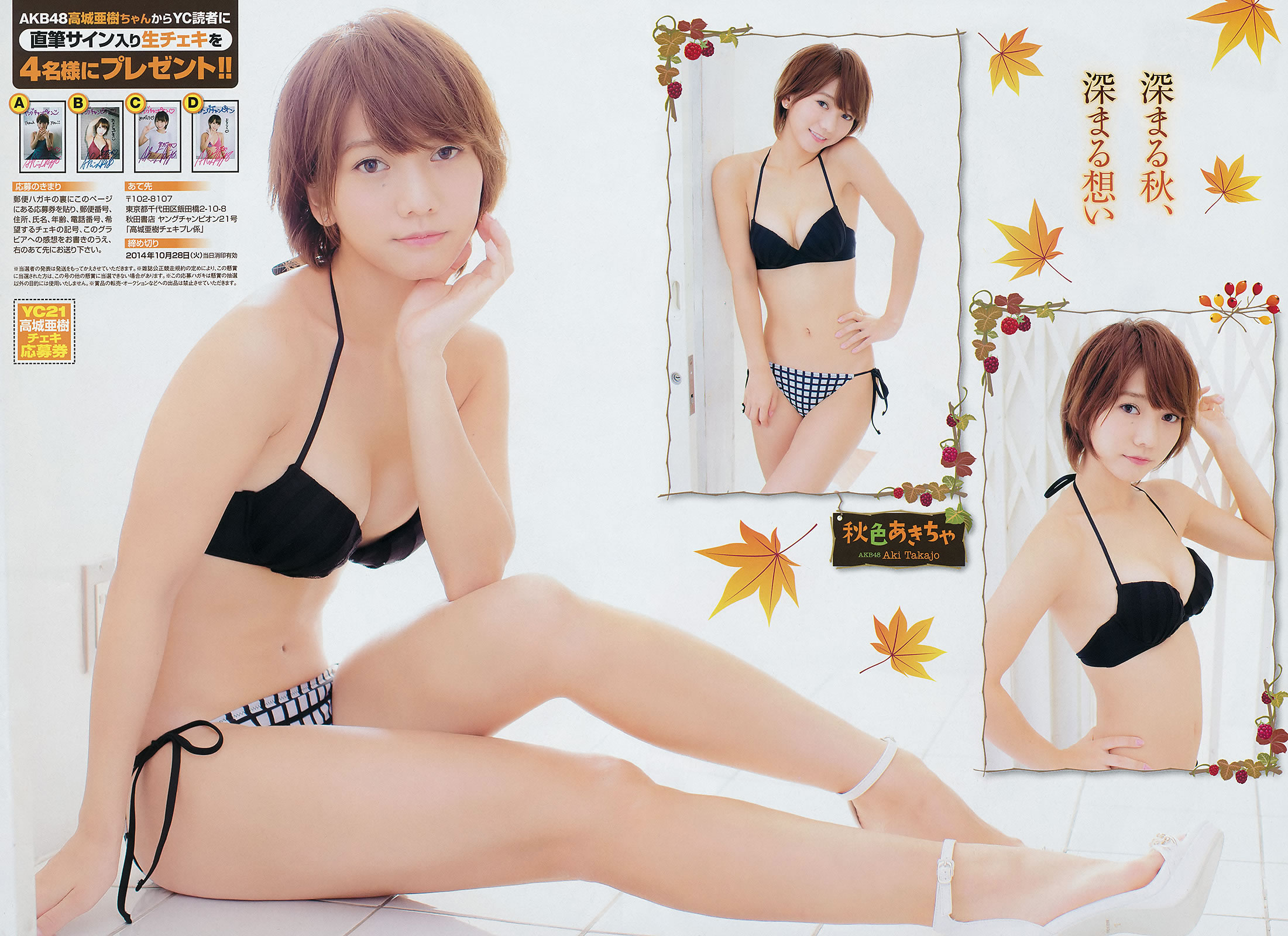 [Young Champion]高清写真图2014 No.20 21 柏木由纪 石冈真衣 高城亜树 和泉美沙希