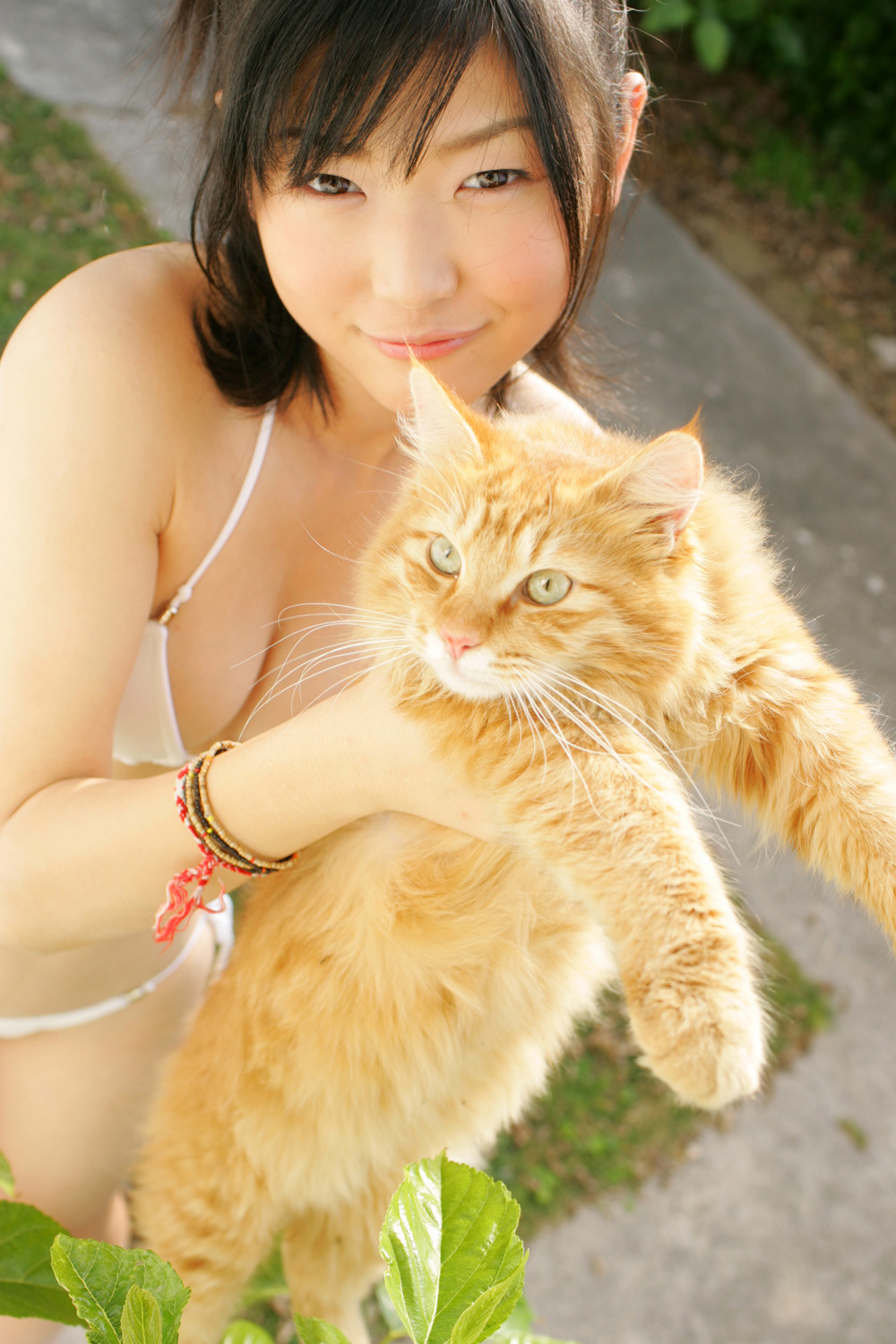 木嶋のりこ-[DGC]高清写真图套图写真图集No.409