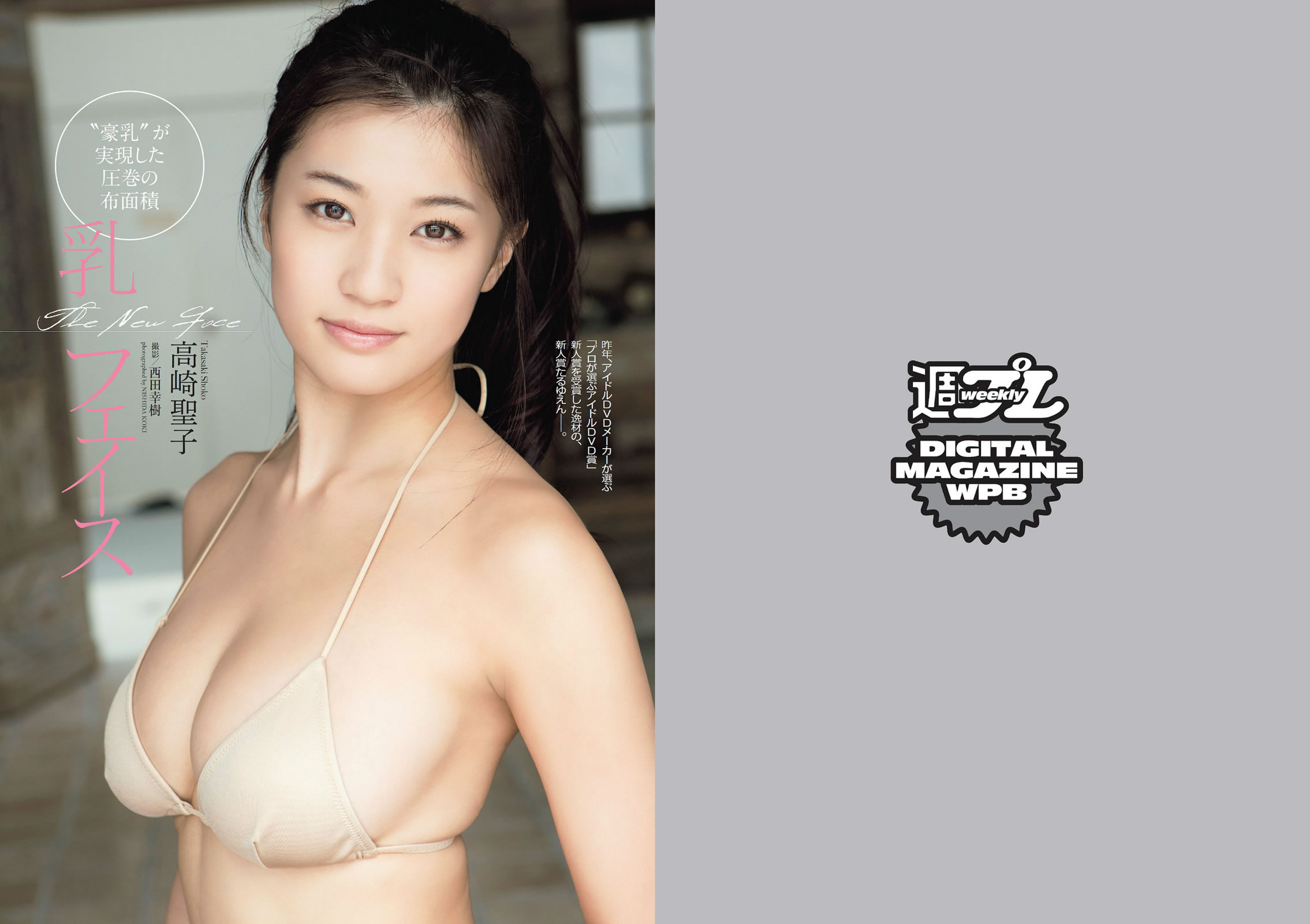 [Weekly Playboy]高清写真图2014 No.13 14 菜々绪 松井玲奈 足立梨花 泽田夏生 高崎圣子 御伽ねこむ 北山诗织 小岛みなみ 成宫ルリ