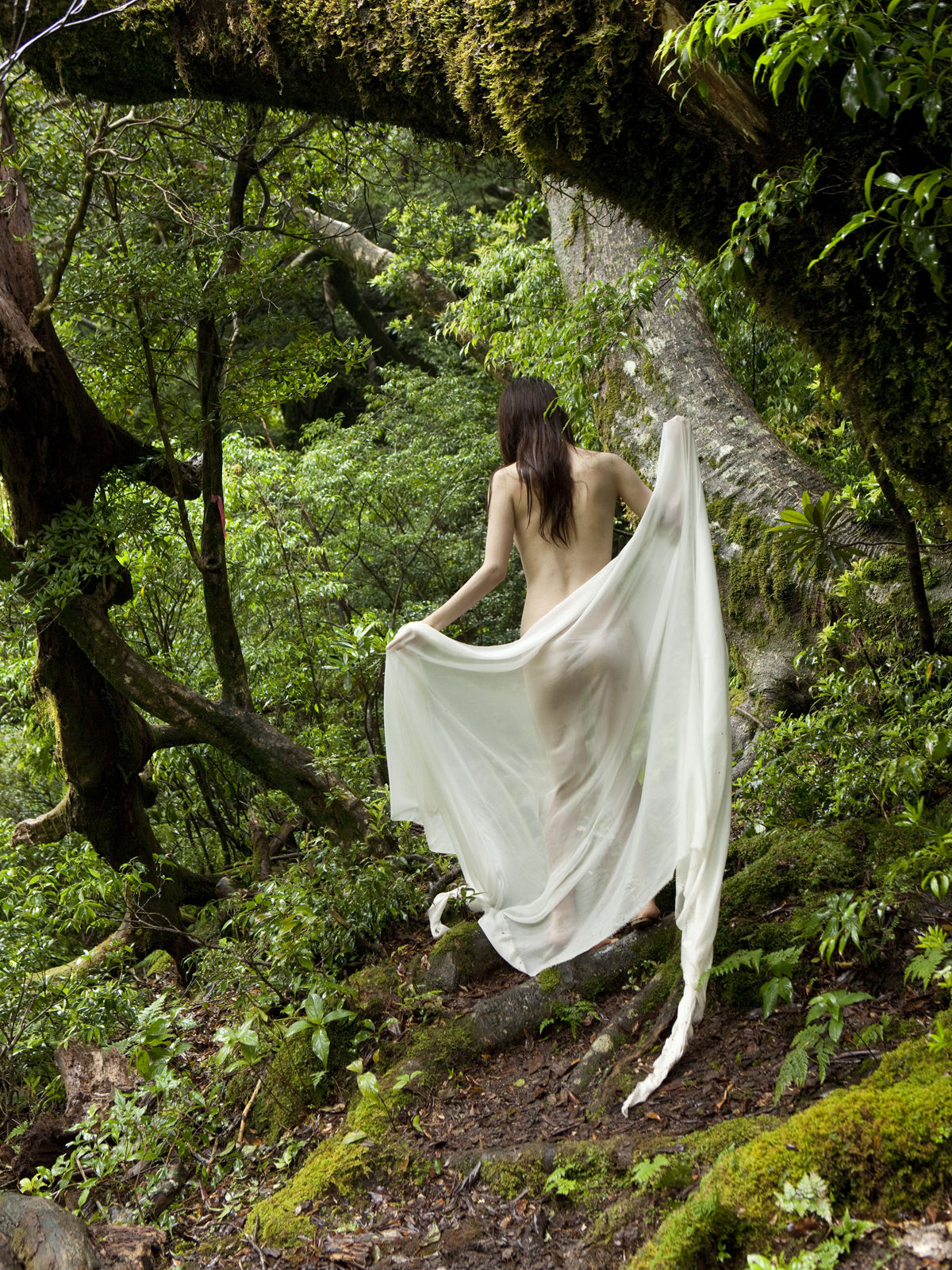 小林惠美(小林恵美)-《INNER FOREST2》[Sabra]高清写真图套图写真图集