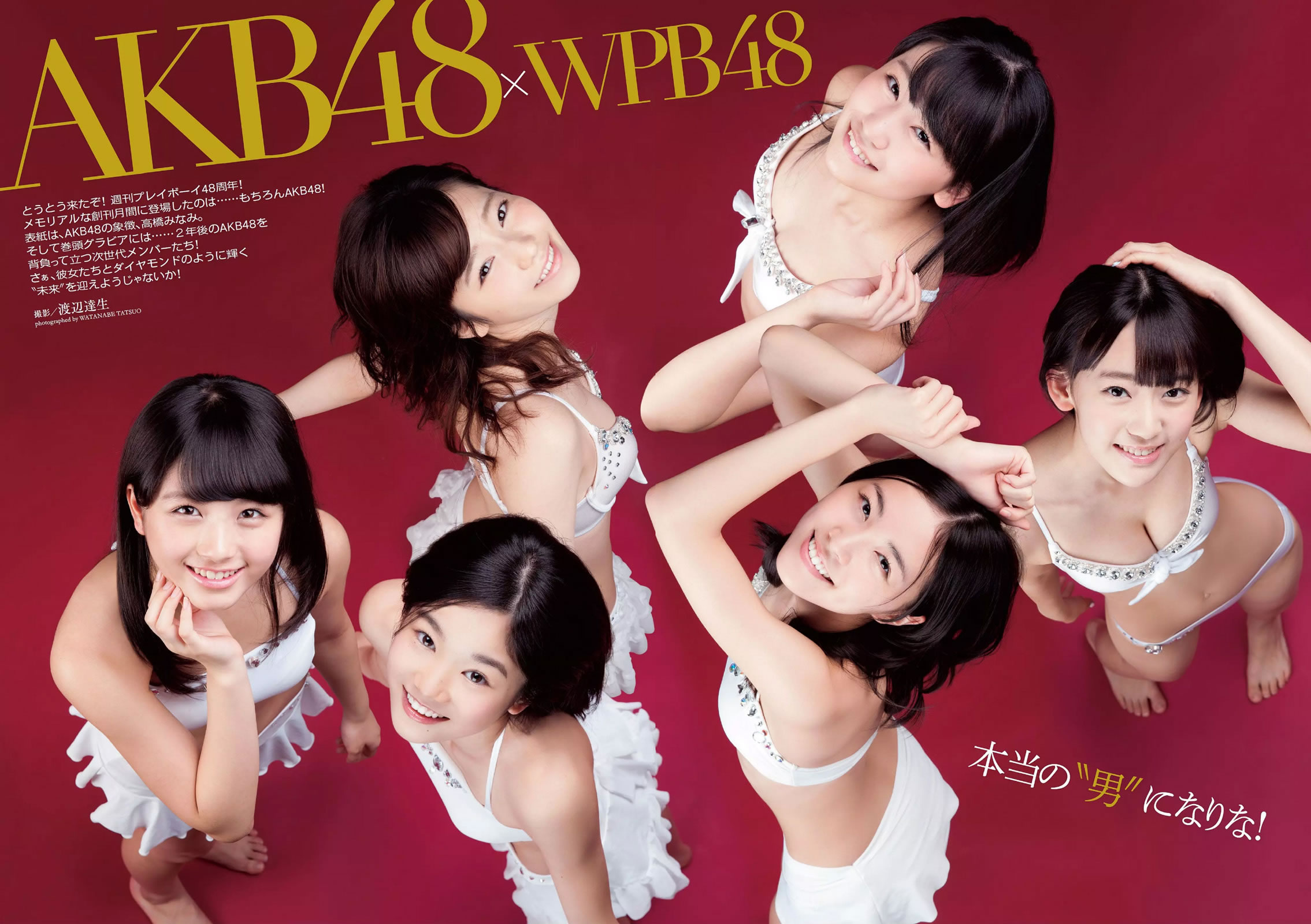[Weekly Playboy]高清写真图2014 No.42 岛崎遥香 桥本环奈 寺田安裕香 神室舞衣 筱崎爱 佐野ひなこ Shelly つぼみ