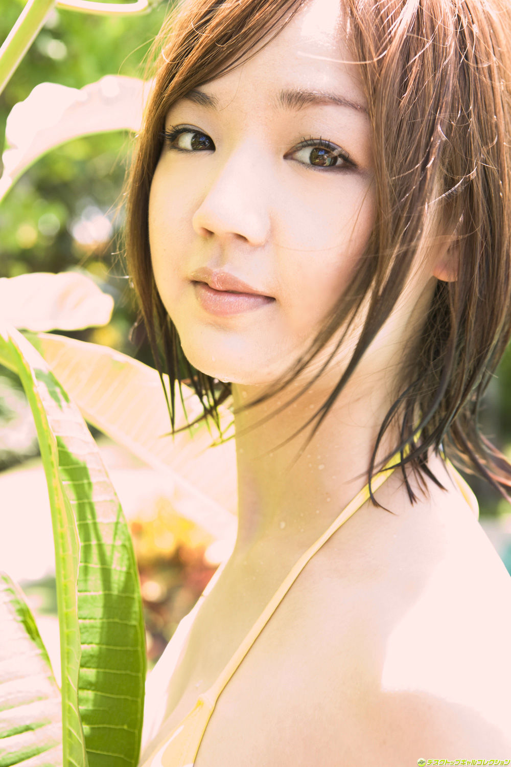 谷麻纱美(谷麻紗美)-[DGC]高清写真图套图写真图集No.842