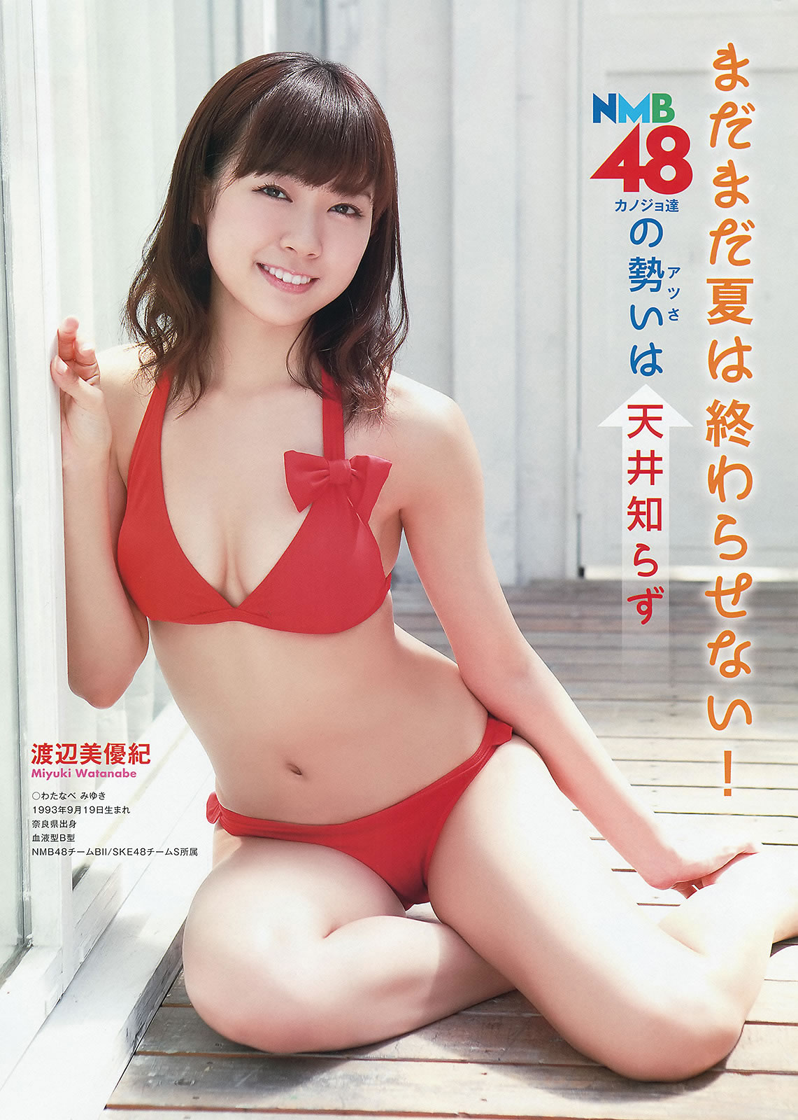 [Young Animal]高清写真图2014 No.17 (NMB48)