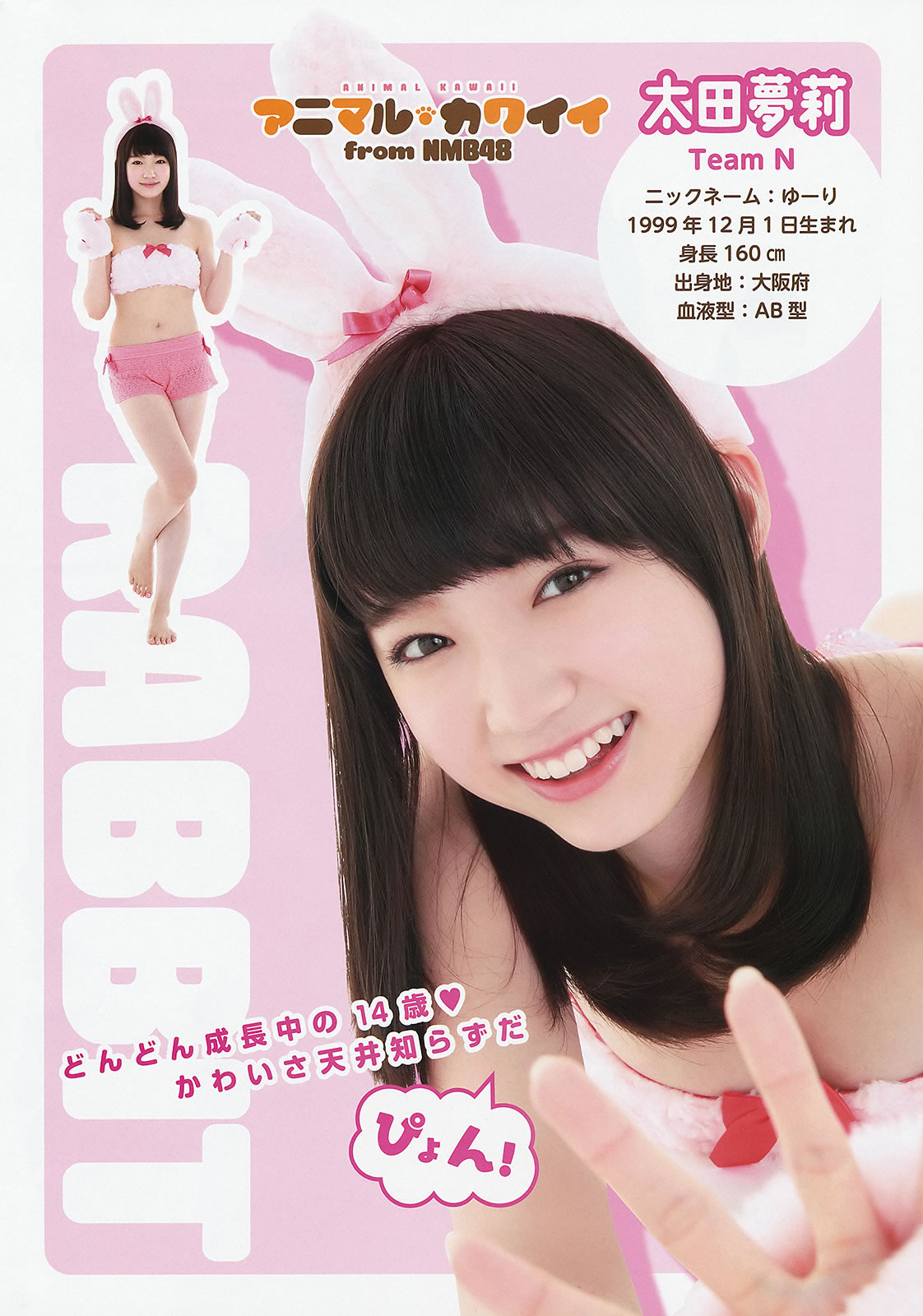 [Young Animal]高清写真图2014 No.17 (NMB48)