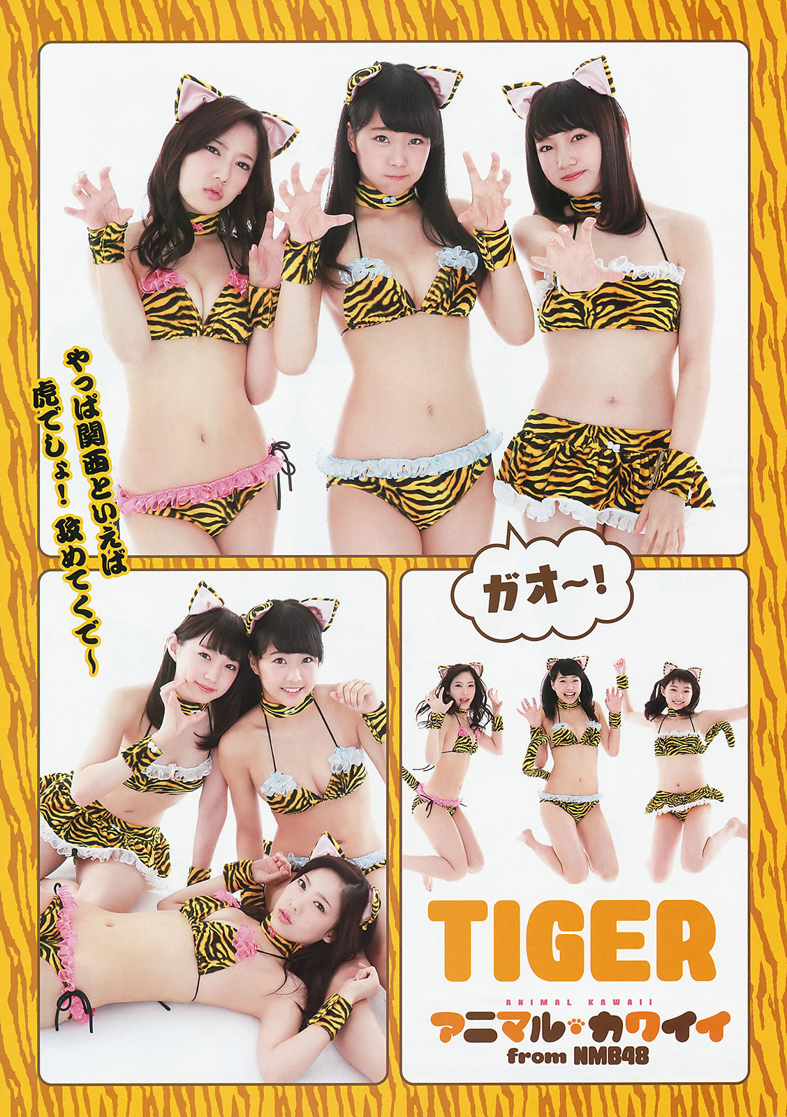 [Young Animal]高清写真图2014 No.17 (NMB48)