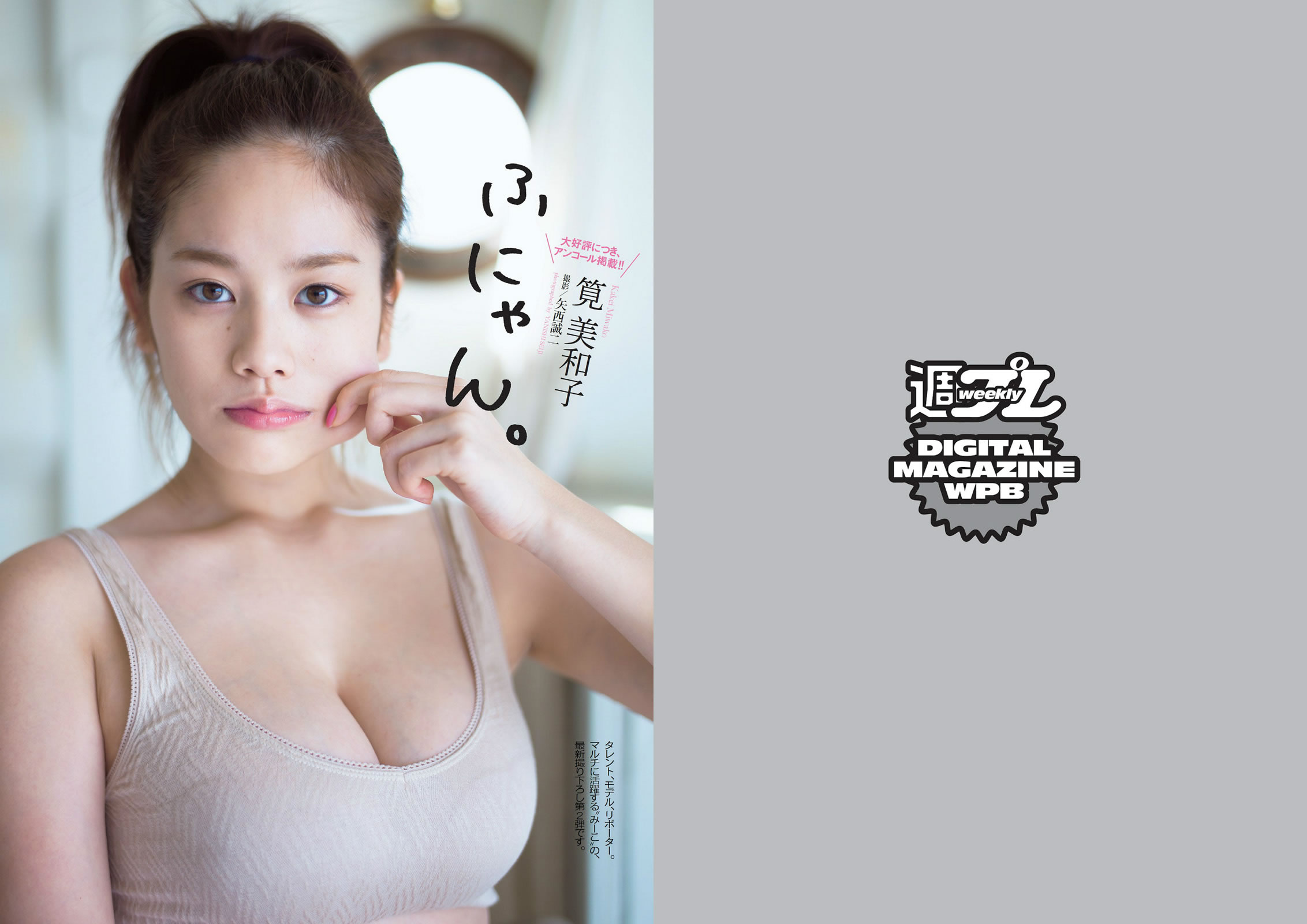 [Weekly Playboy]高清写真图2014 No.15 大岛优子 小嶋阳菜 吉野纱香 乃木坂46 AKB48 笕美和子 立花あんな 安斋らら あやみ旬果 [25P]高清写真图