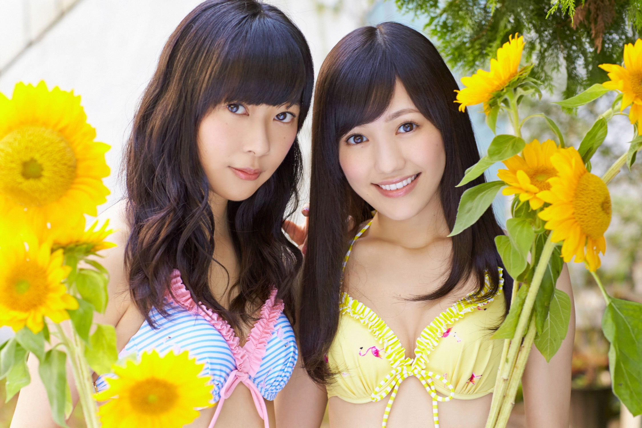渡辺麻友、指原莉乃 [YS-Web套图写真图集]高清写真图Vol.614