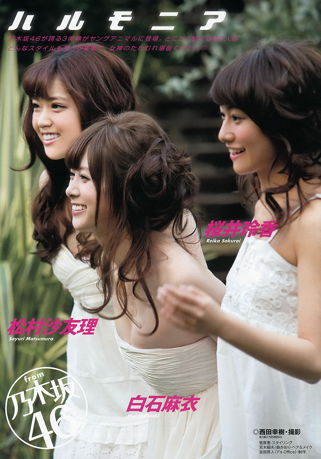 [Young Animal]高清写真图2013 No.24 白石麻衣 桜井玲香 松村沙友理 须田亜香里 松村香织