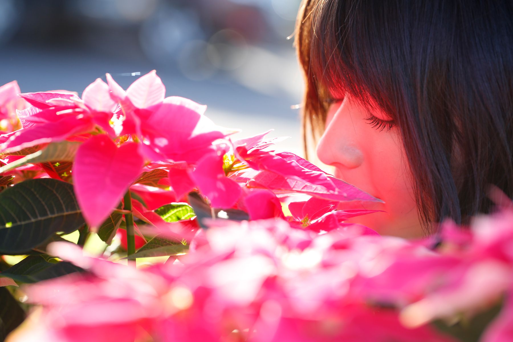 矢岛舞美(矢島舞美)-[H!P Digital Books]高清写真图套图写真图集No.122