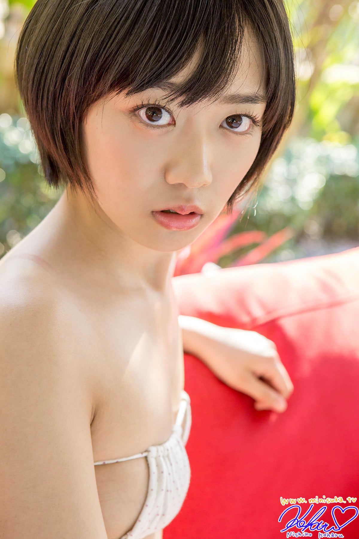 西野小春 [Minisuka.tv]高清写真图2015.11.19 Premium Gallery 5.1