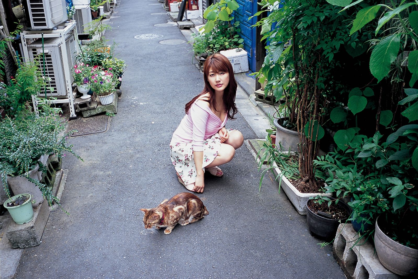 安惠美(安めぐみ)-[Wanibooks写真图]高清写真图No.71