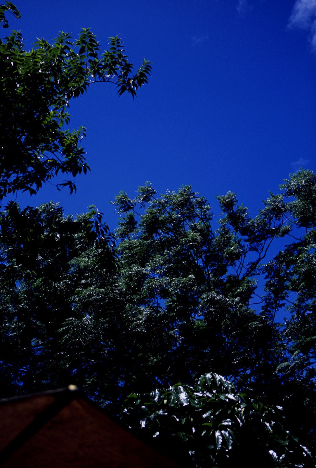 嘉那蕾音(久纱野水萌) [NS Eyes写真图]高清写真图SF-No.363