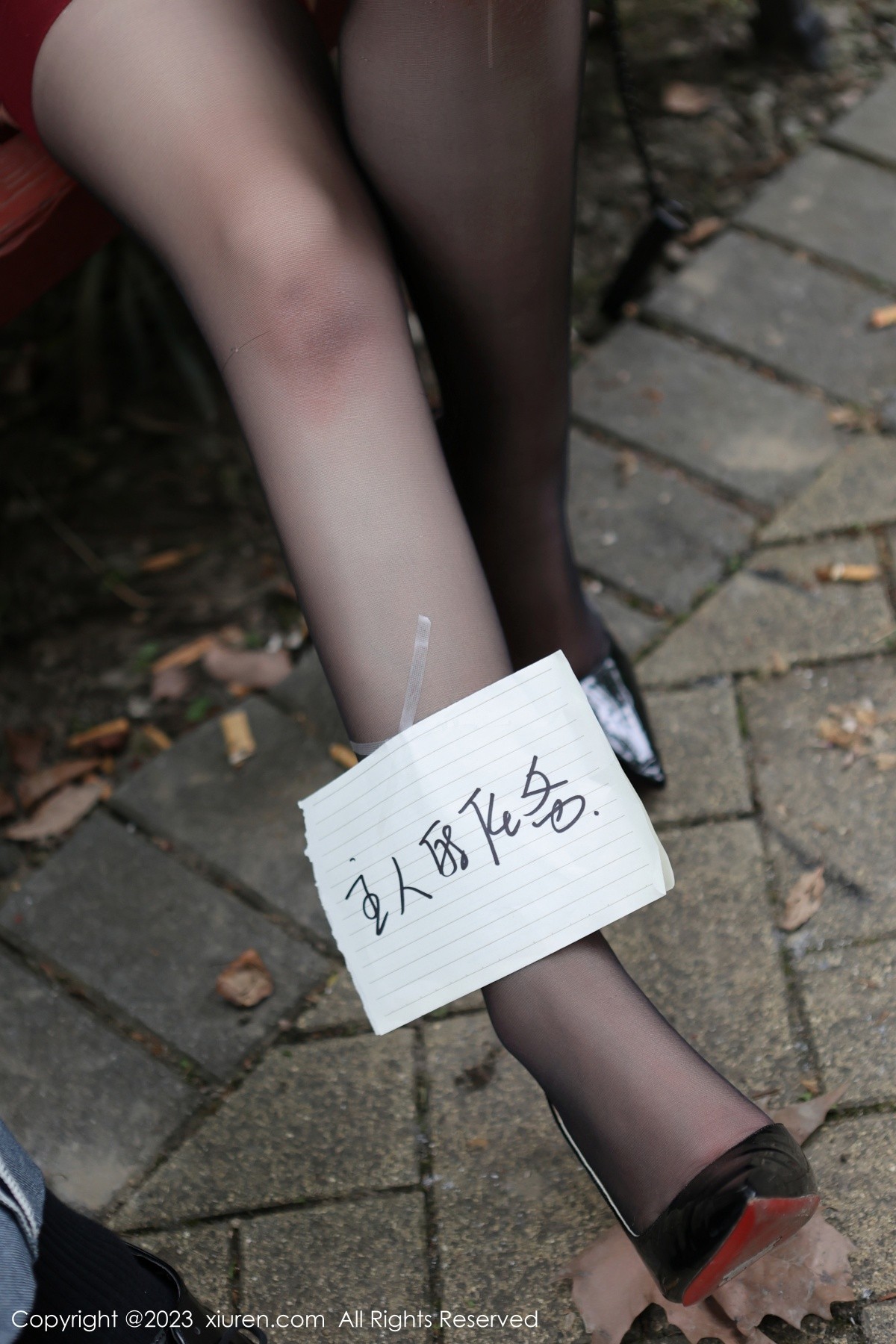 [XiuRen]高清写真图 2023.06.20 No.6950 王婉悠Queen 丝袜美臀