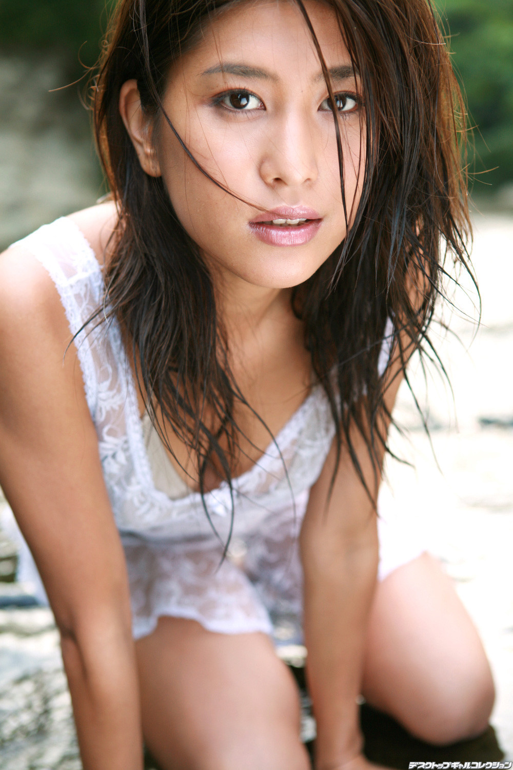 岩根あゆこ-[DGC]高清写真图套图写真图集No.516