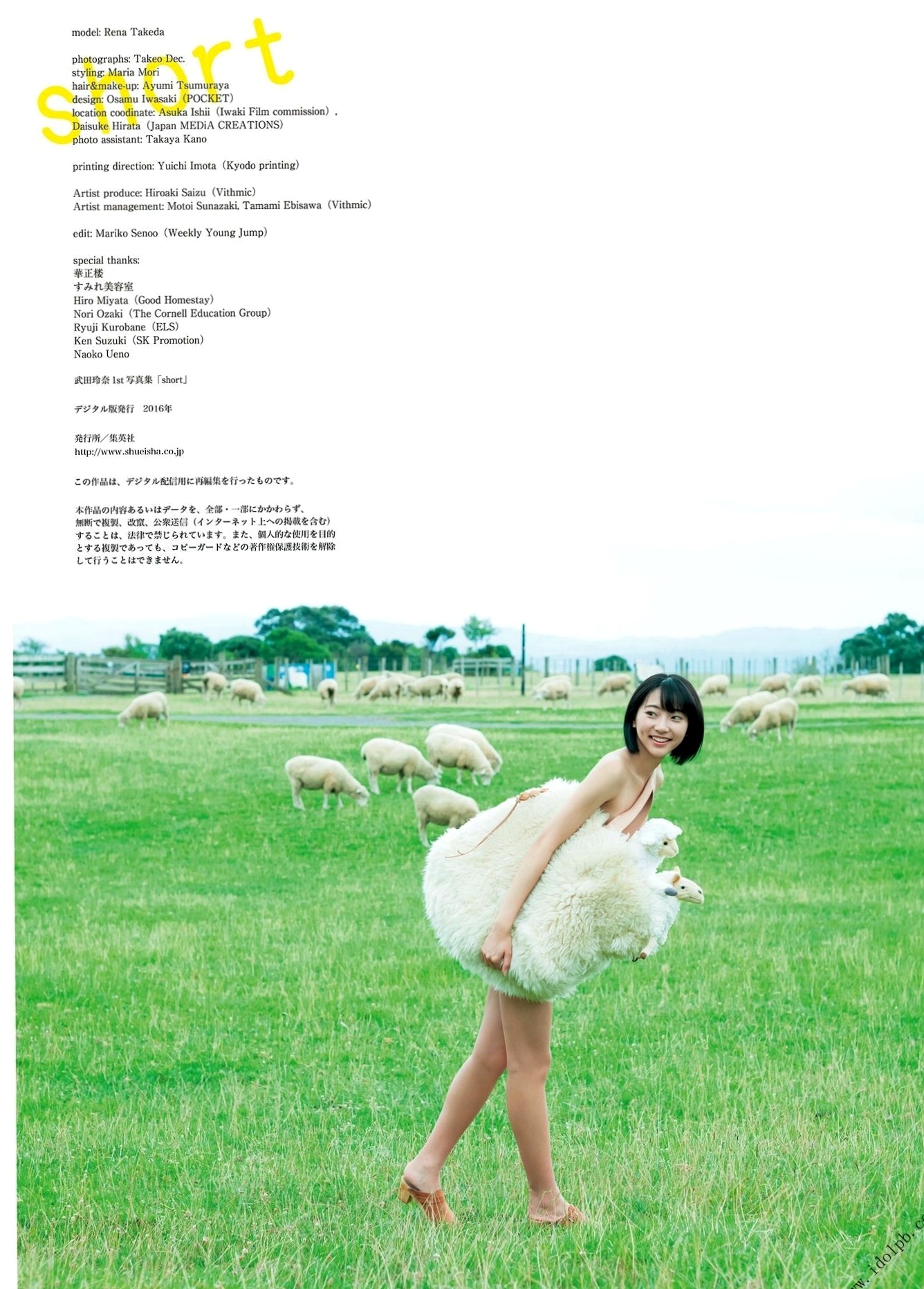 Gallery - PB写真集_武田玲奈《short》短发比基尼海滩清新纯欲写真集[103P]清新比基尼日本私房照气质 武田玲奈女神私房照_秀色女神 - image 3