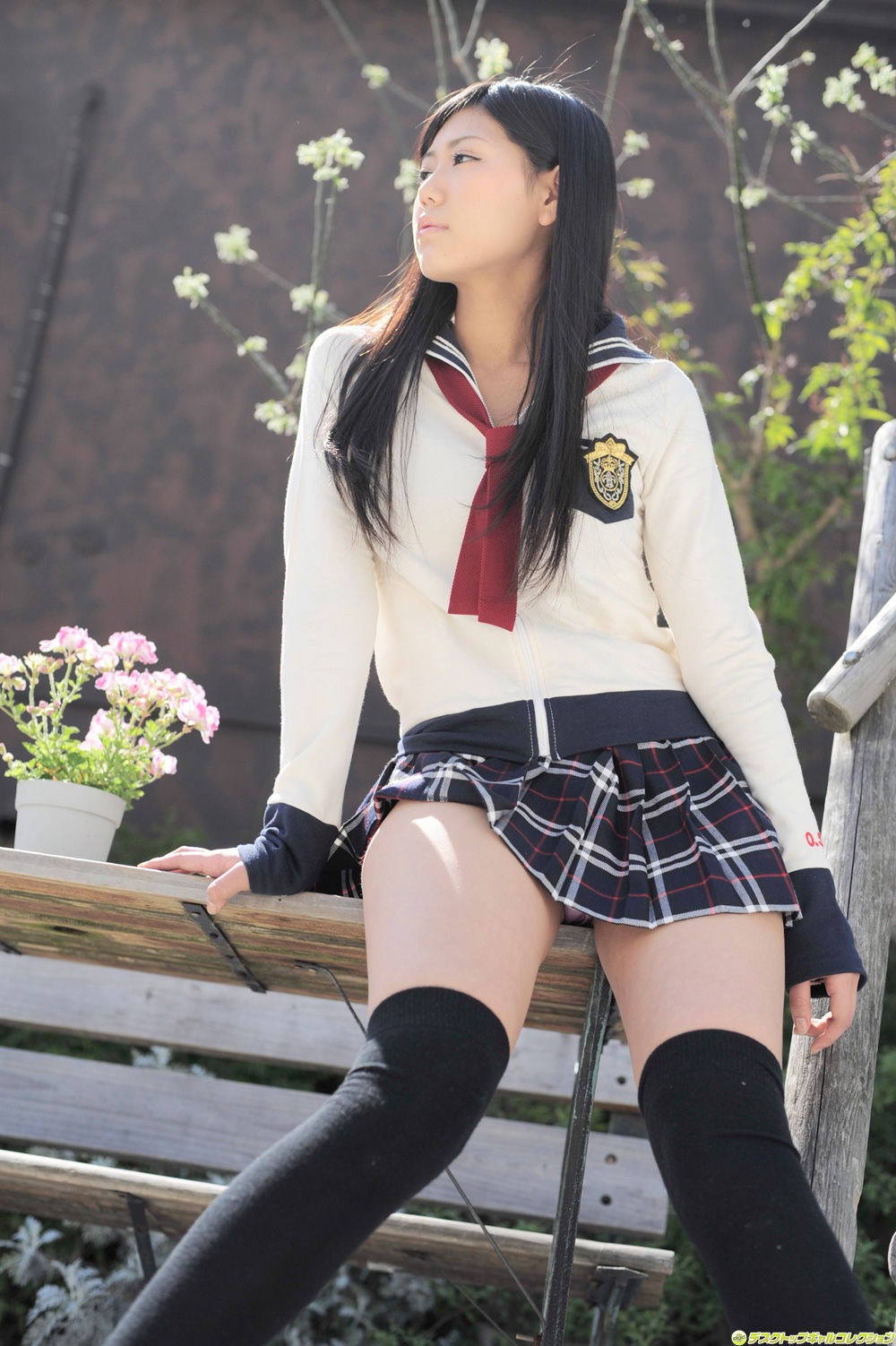 篠原冴美-[DGC]高清写真图套图写真图集No.969