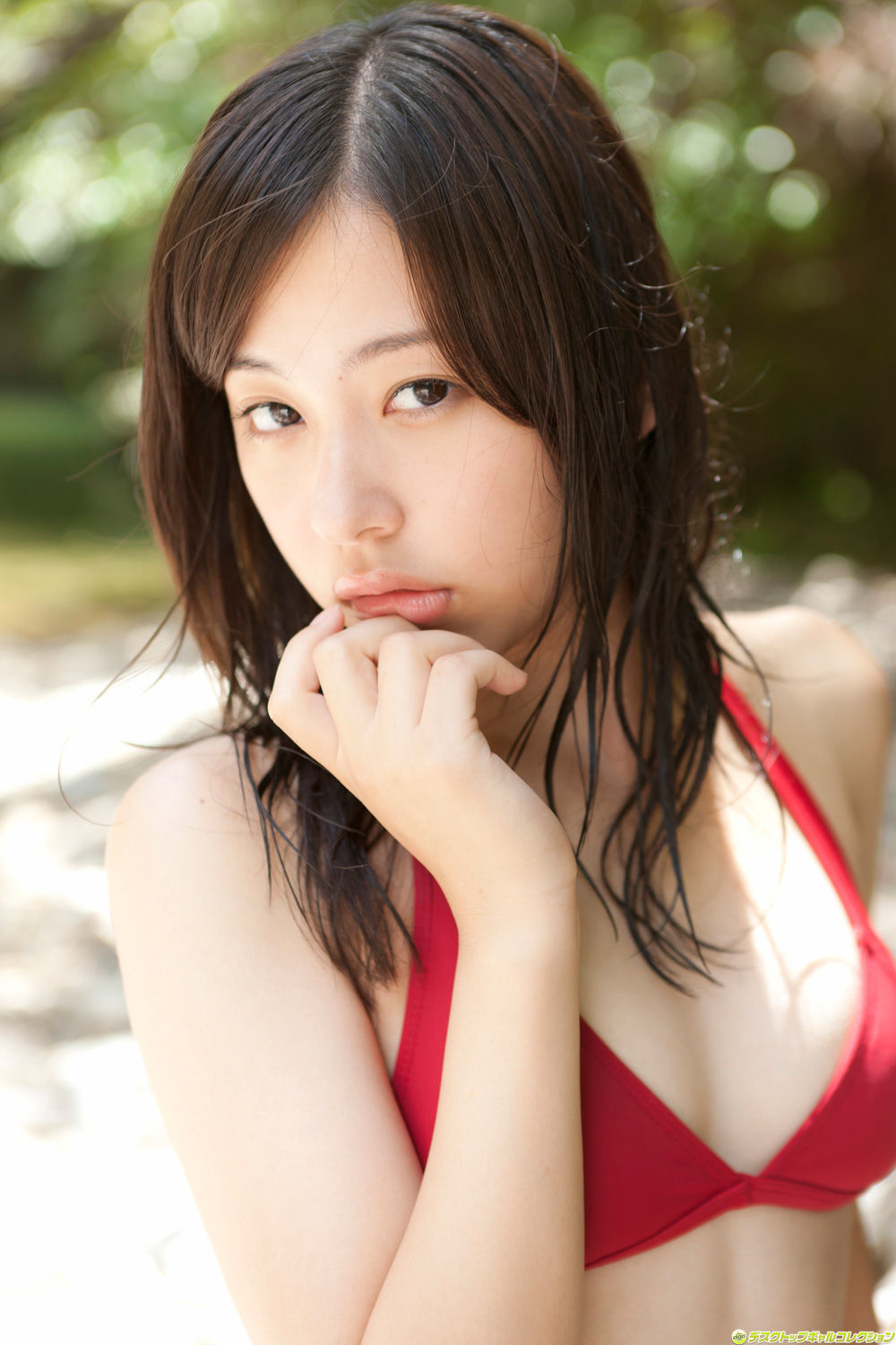堀川美加子-[DGC]高清写真图套图写真图集No.996-Gravure Idols