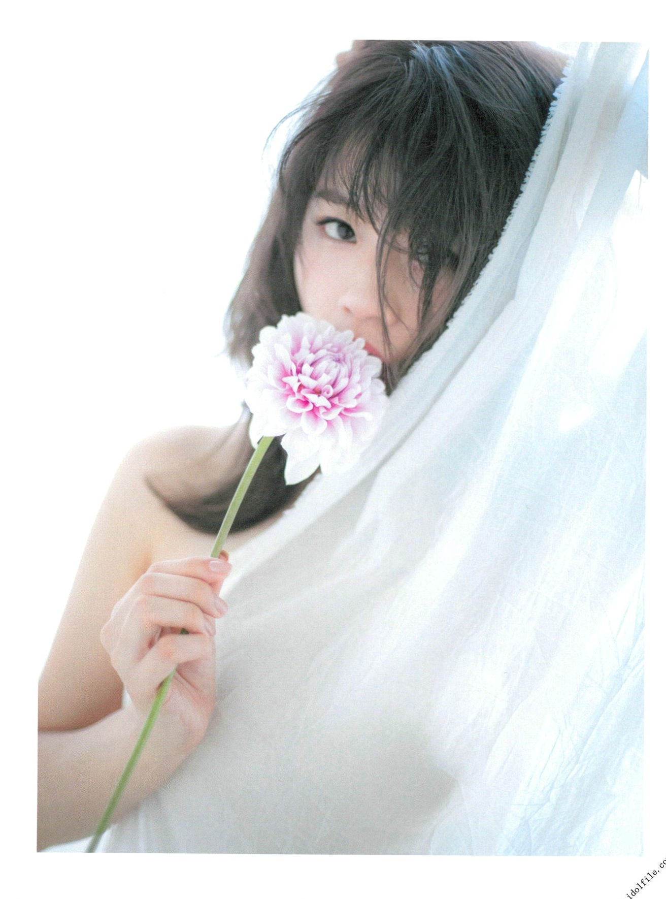 Gallery - PB写真集_島田晴香「そんな生き方」_精选私房诱惑与湿身浴室时尚大片[83P]日本性感尤物私房照诱惑 岛田晴香女神私房照_秀色女神 - image 75