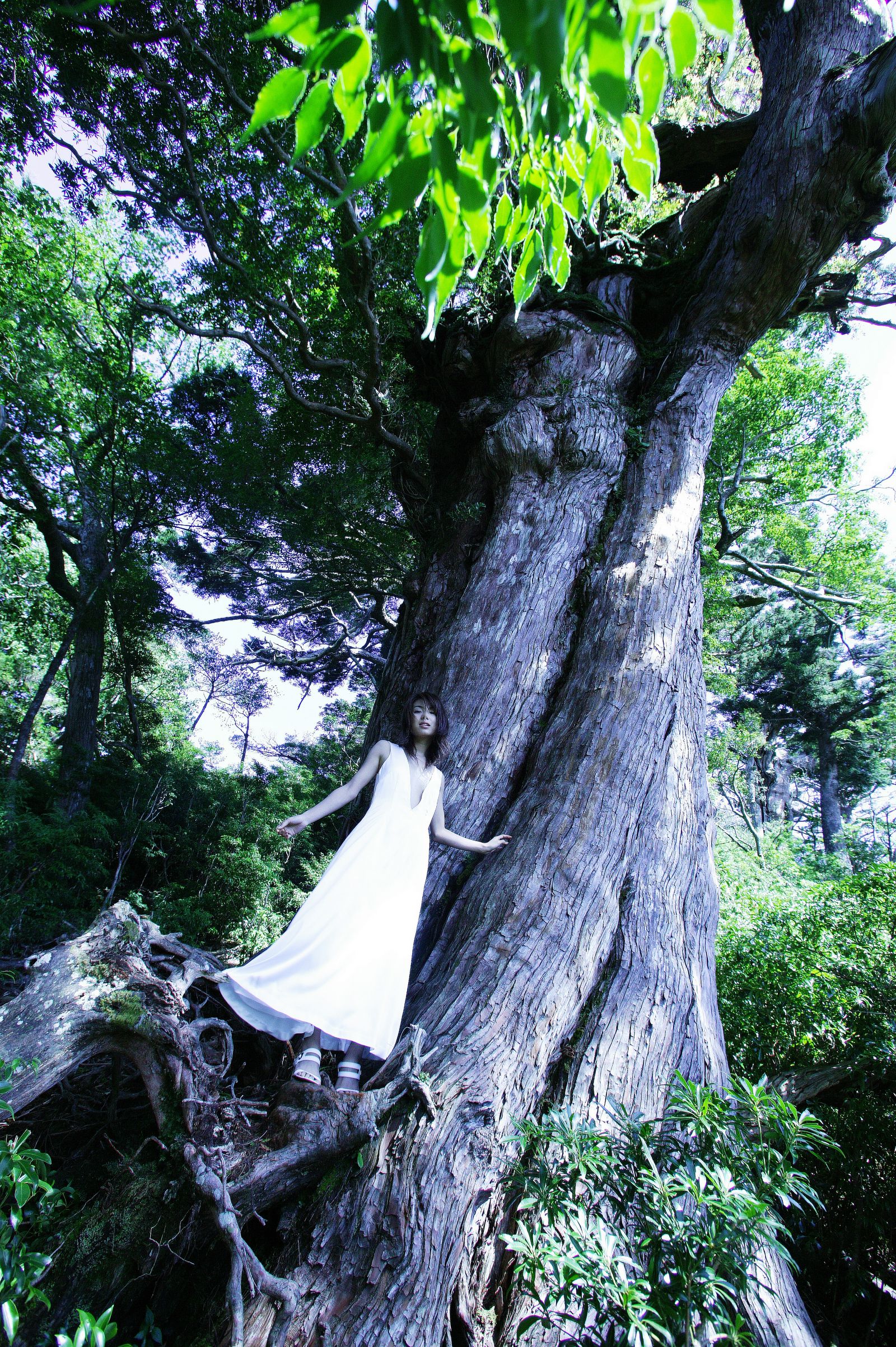 内山理名 [NS Eyes写真图]高清写真图SF-No.412