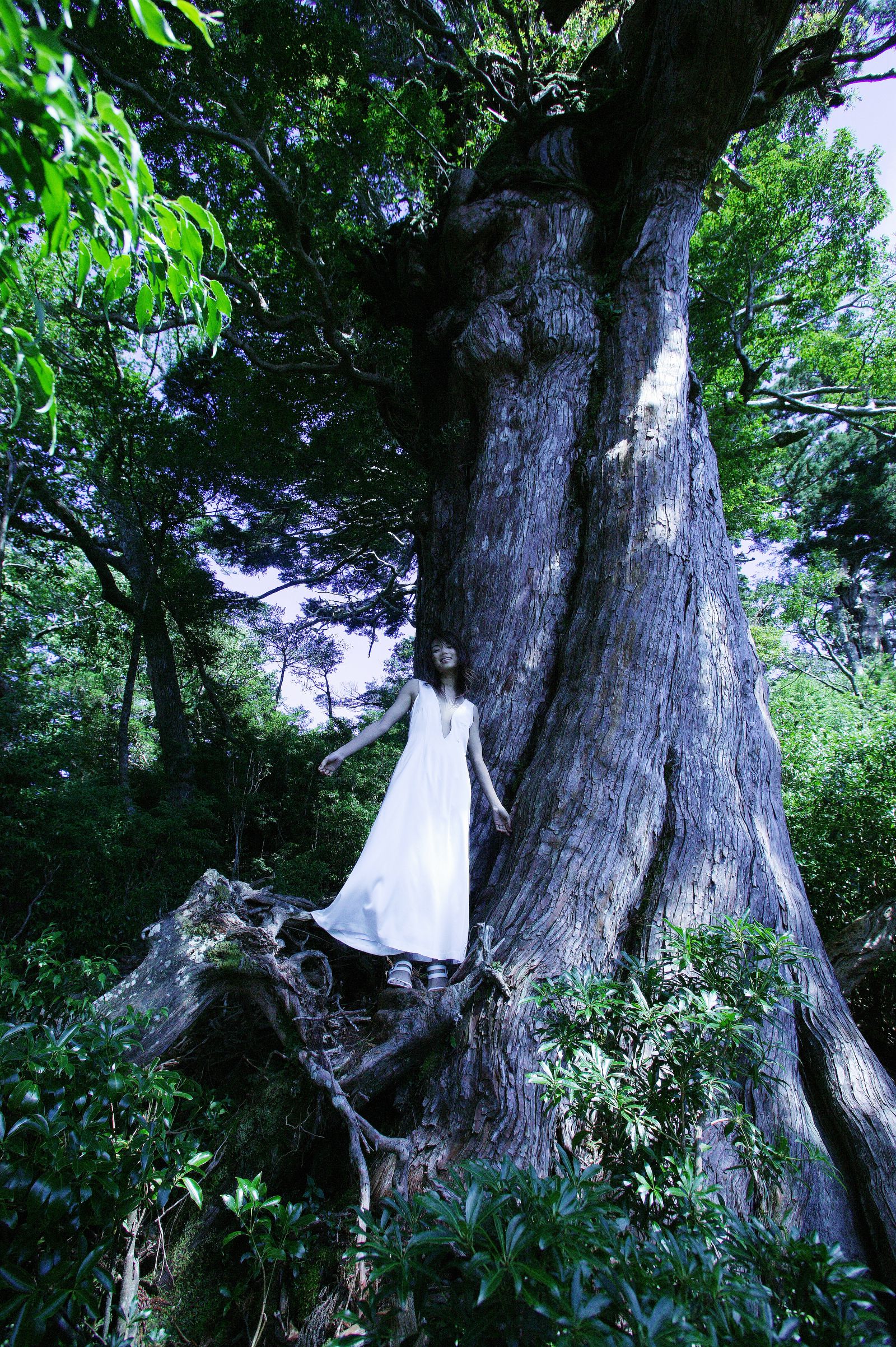 内山理名 [NS Eyes写真图]高清写真图SF-No.412