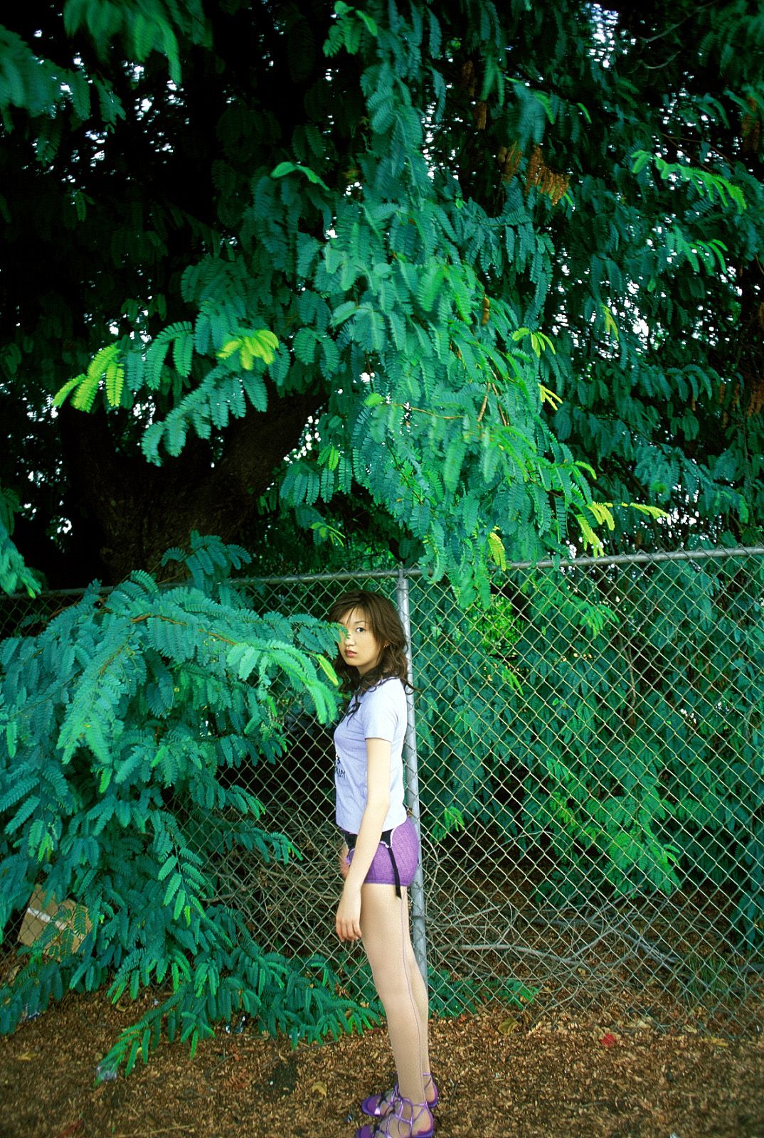 柳明日香 [NS Eyes套图写真图集]高清写真图SF-No.185