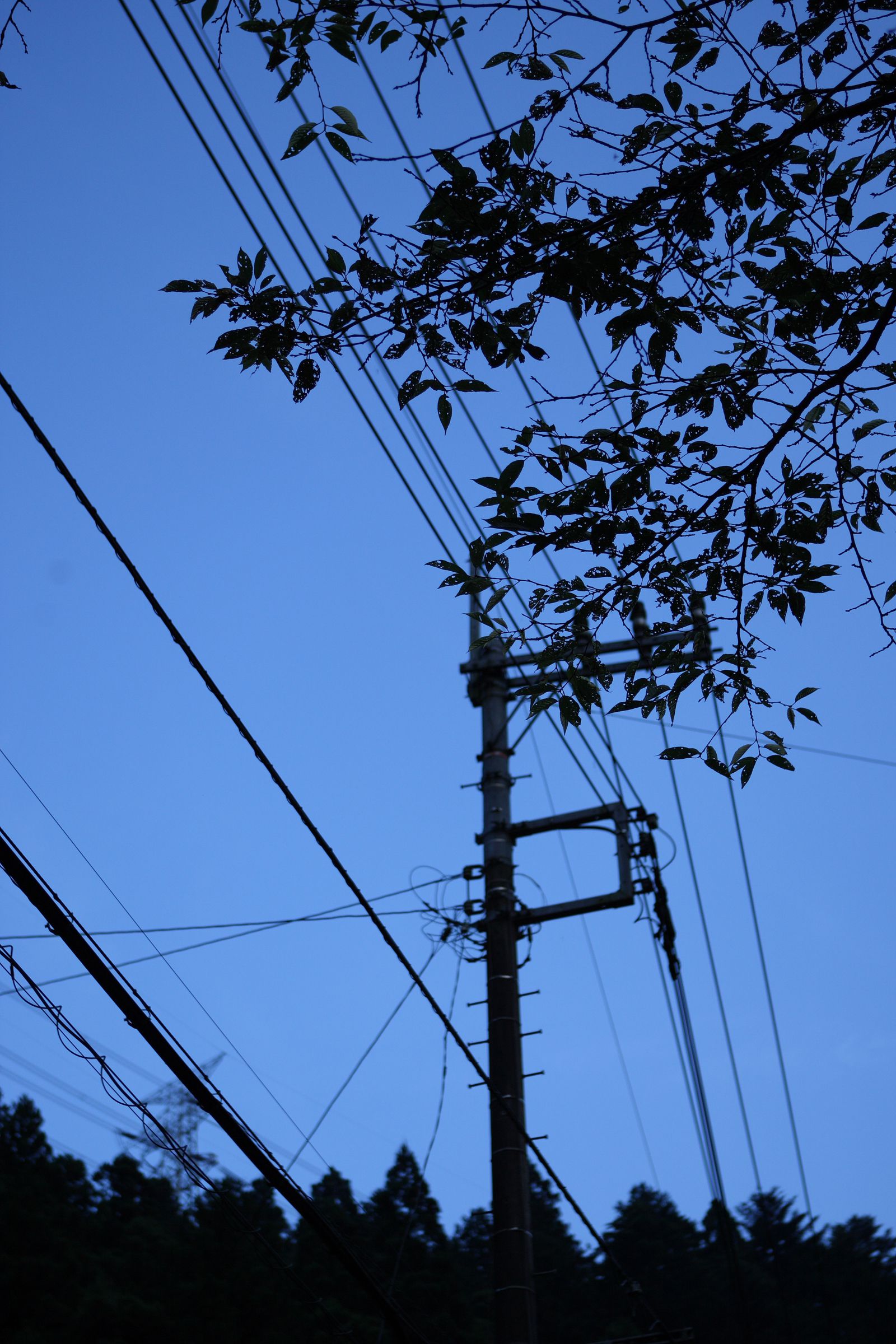 提坂笑加 [NS Eyes写真图]高清写真图SF-No.507