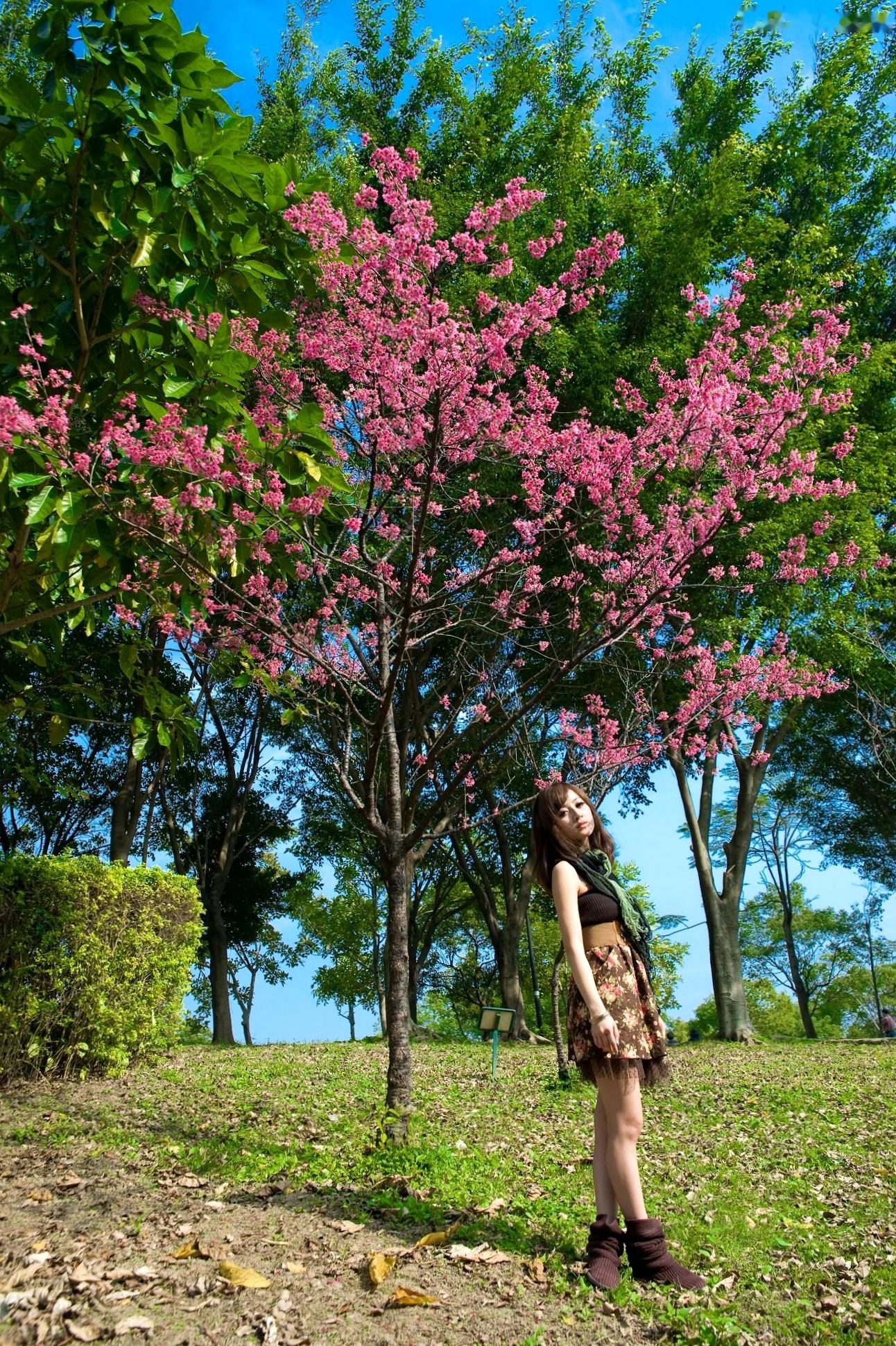 Gallery - 台湾美女张凯洁果子MM四四南村大安森林公园清新外拍写真，治愈系自然风街拍台湾清新治愈系户外街拍 张凯洁女神私房照_秀色女神 - image 3