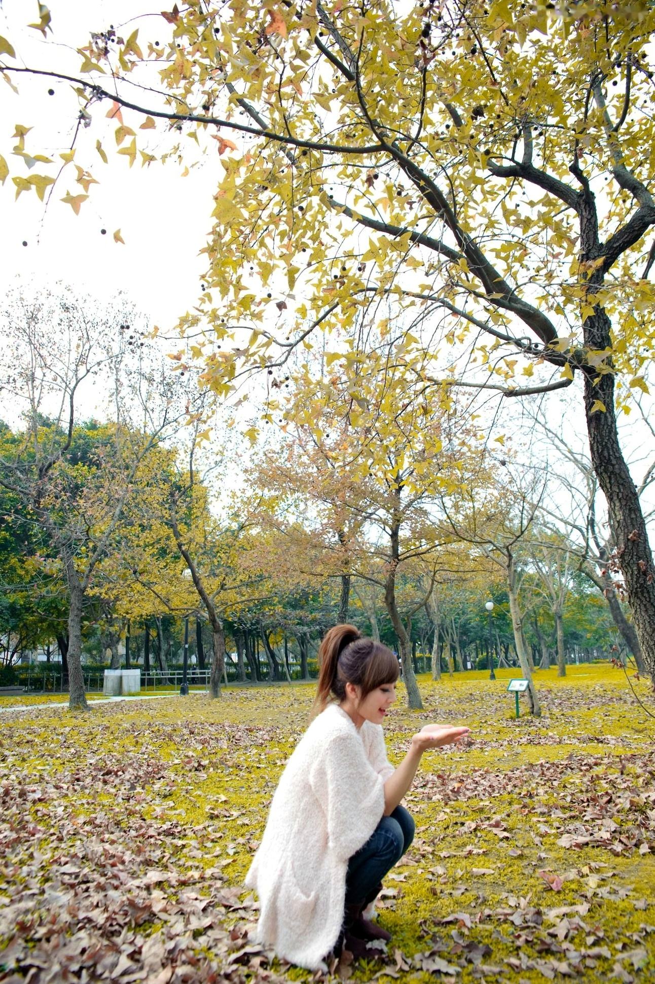 Gallery - 台湾美女张凯洁果子MM四四南村大安森林公园清新外拍写真，治愈系自然风街拍台湾清新治愈系户外街拍 张凯洁女神私房照_秀色女神 - image 30